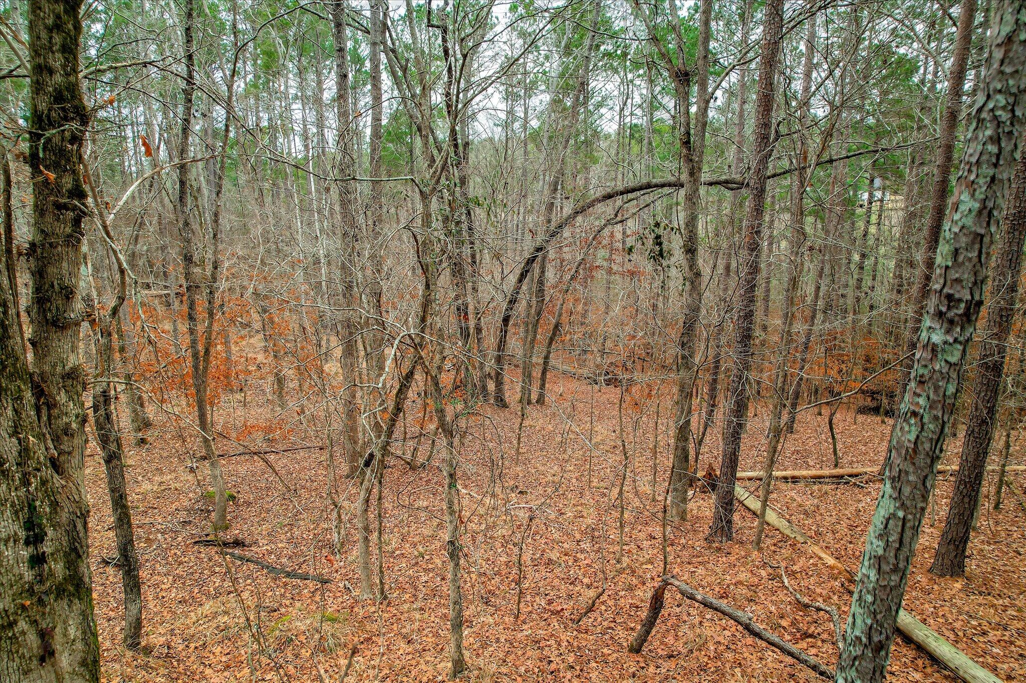 0000 Collin Reeds Road Property Photo 3