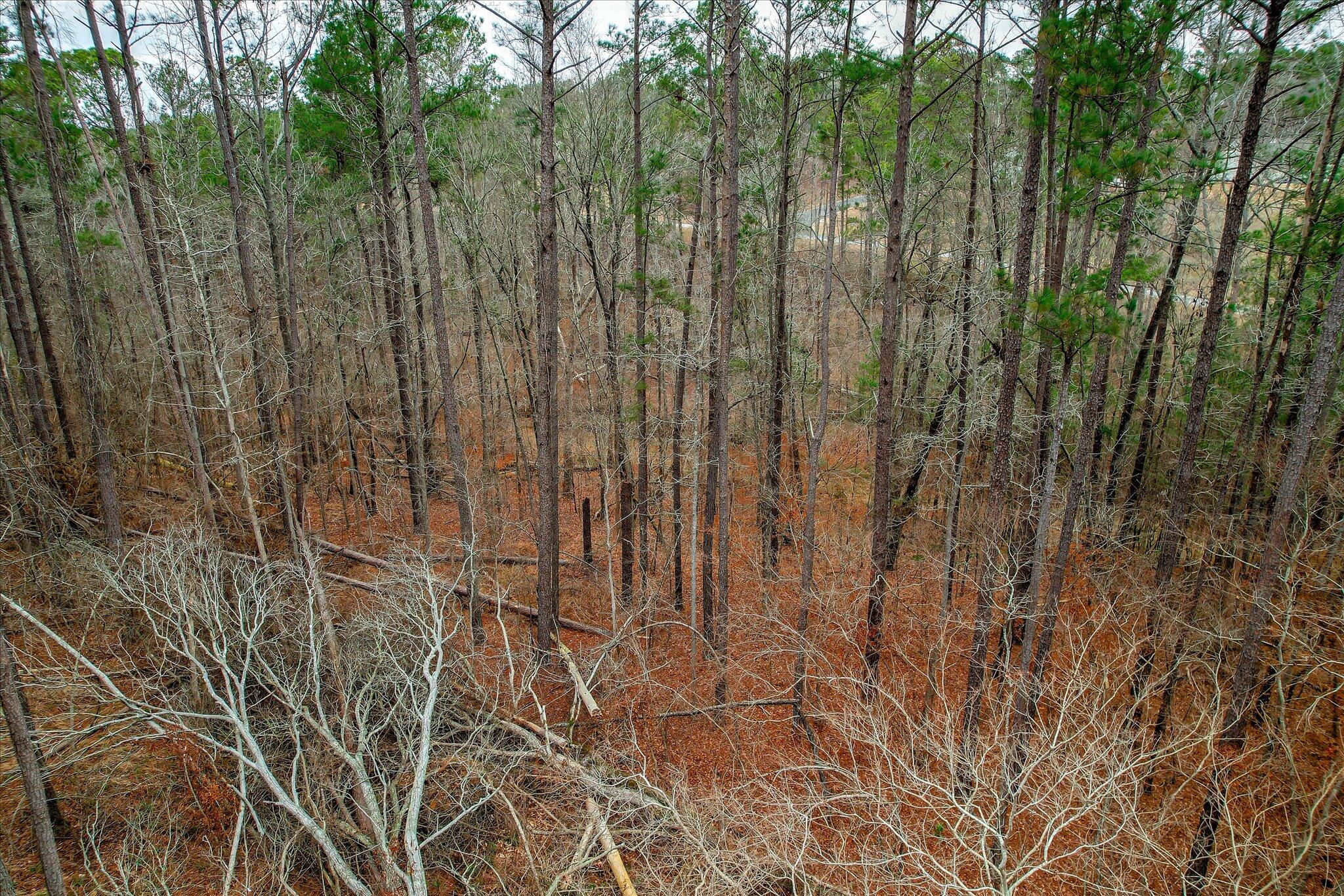 0000 Collin Reeds Road Property Photo 4