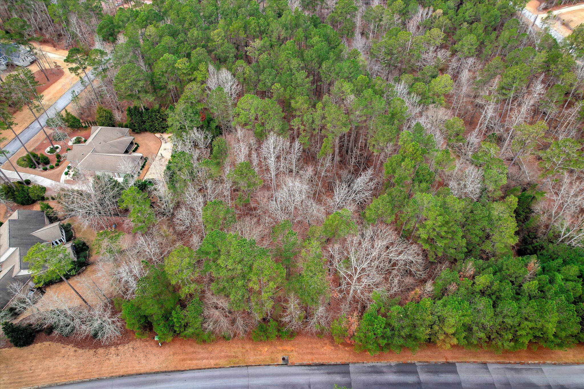 0000 Collin Reeds Road Property Photo 8