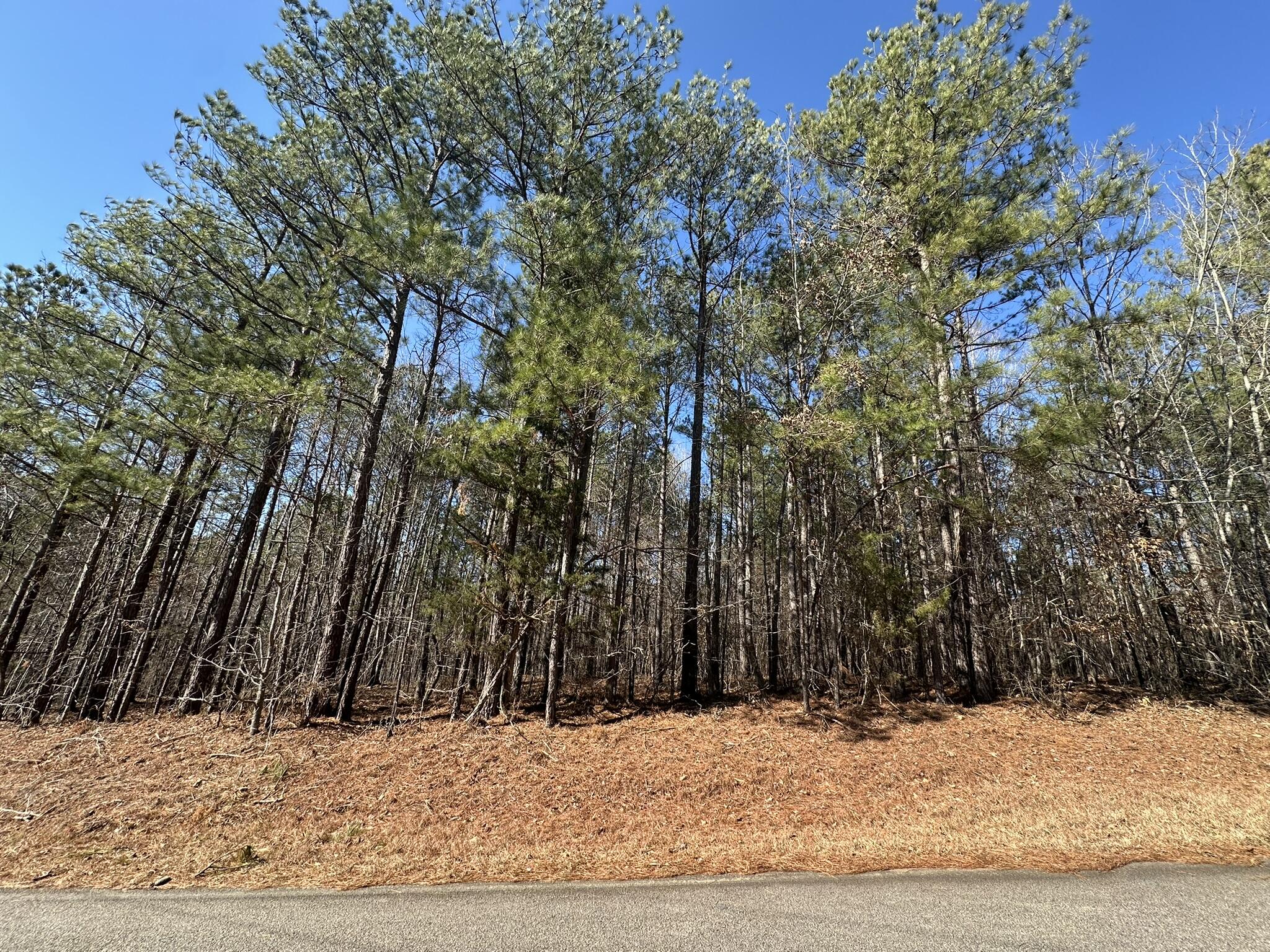 Lot 31 31 Willow Way Property Photo 1