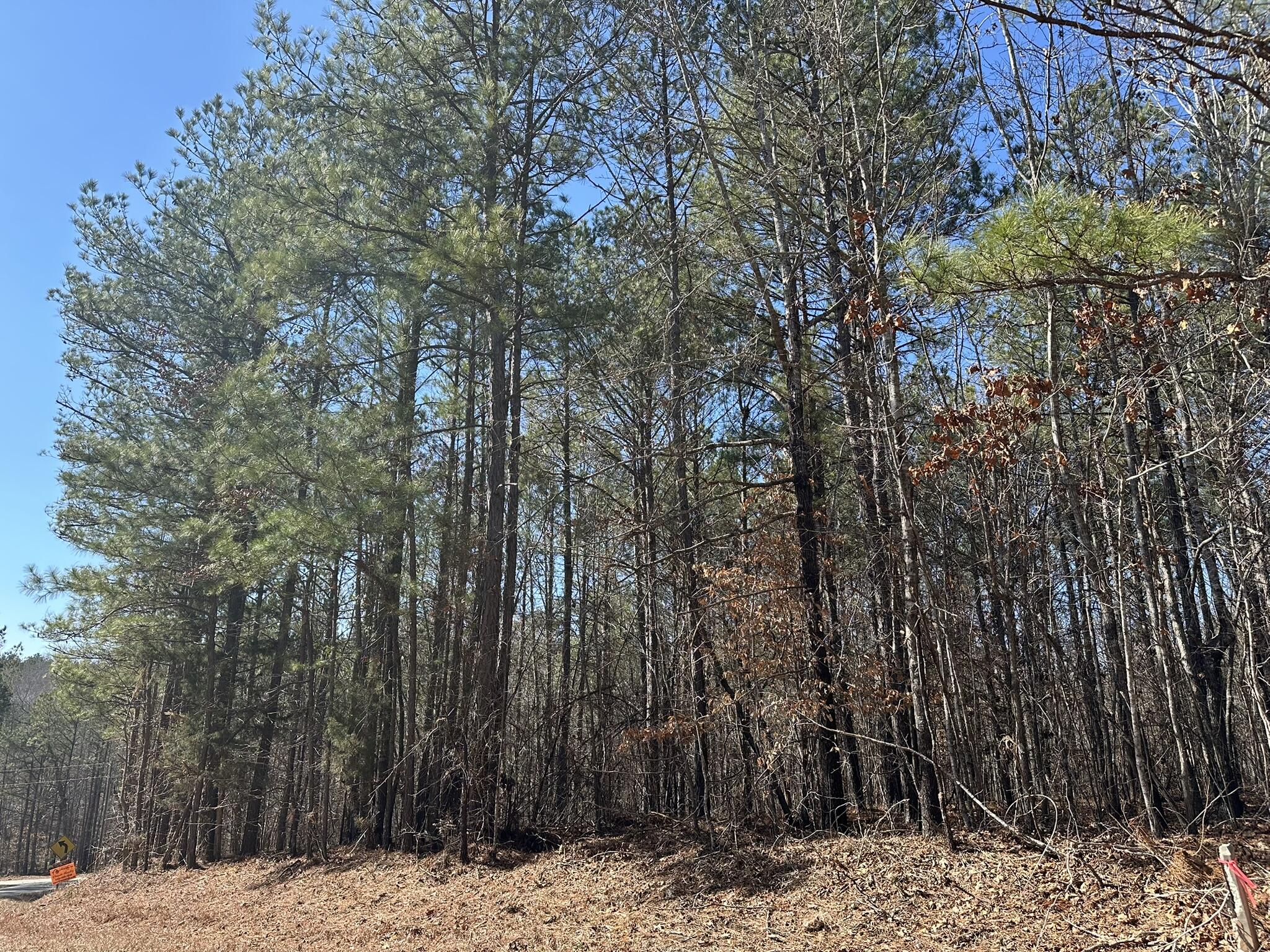 Lot 31 31 Willow Way Property Photo 2