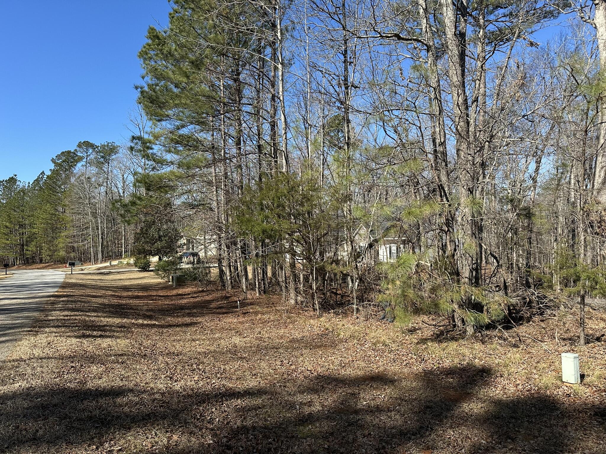 Lot 31 31 Willow Way Property Photo 3