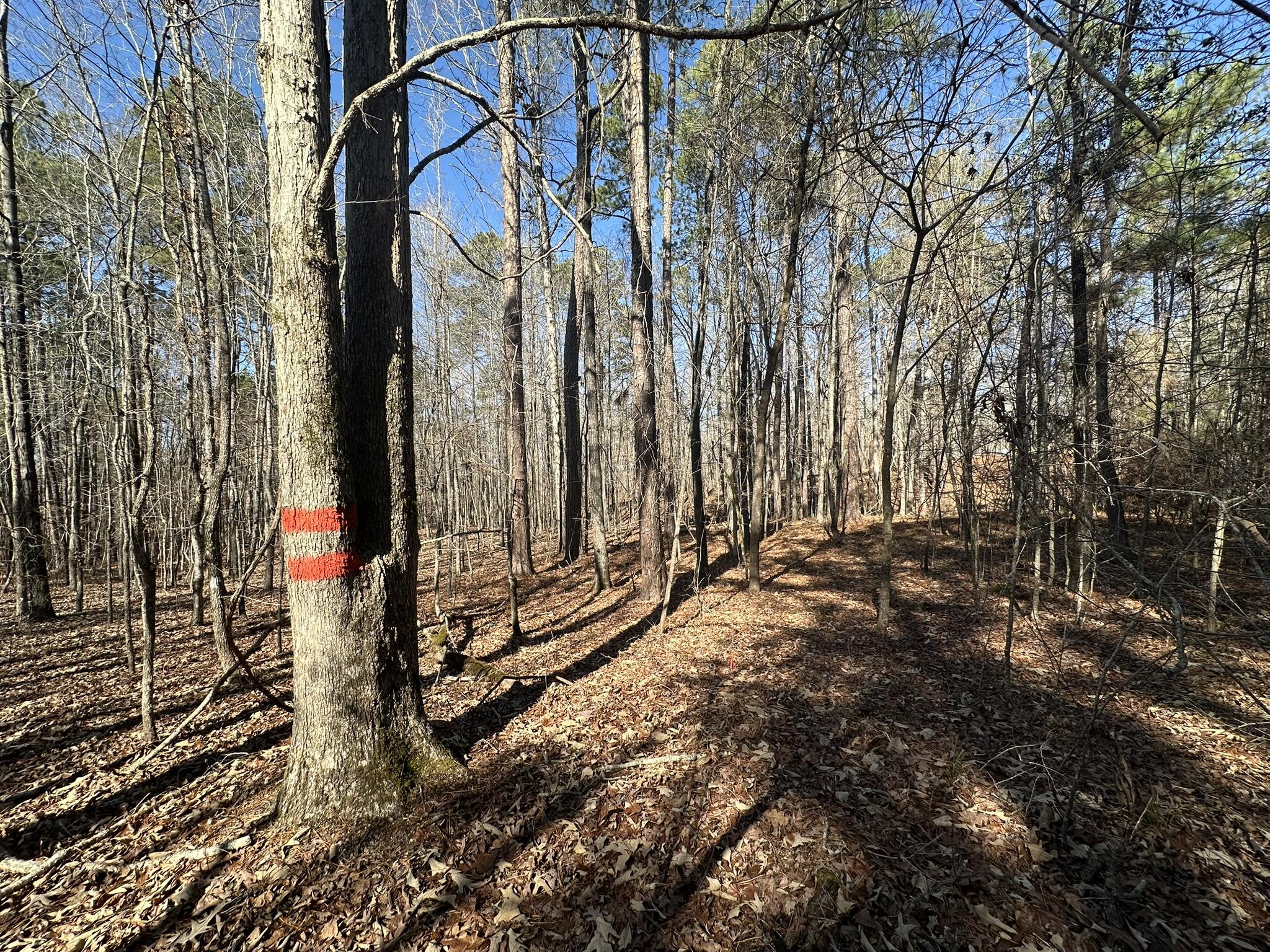 Lot 31 31 Willow Way Property Photo 9