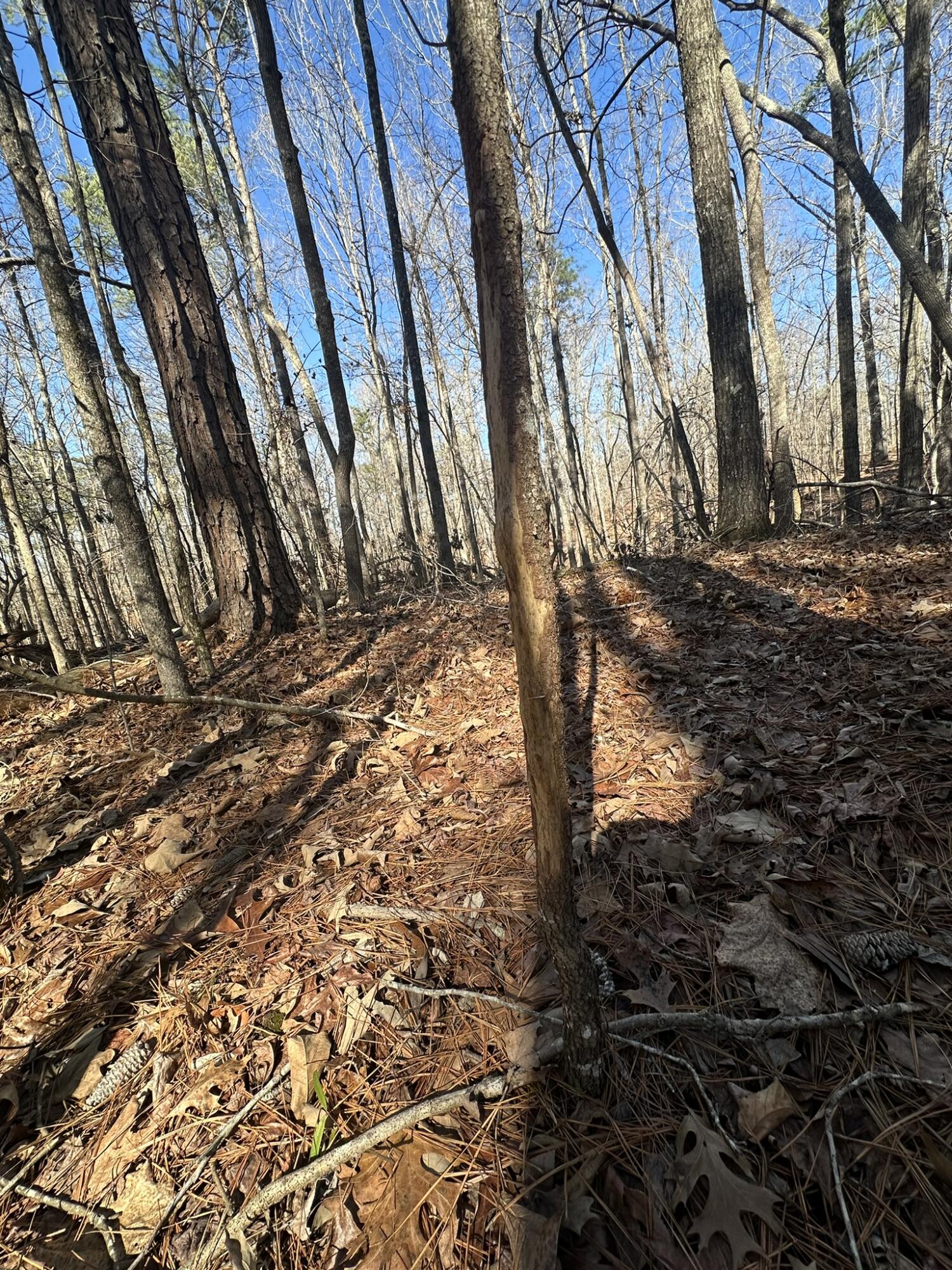 Lot 31 31 Willow Way Property Photo 10