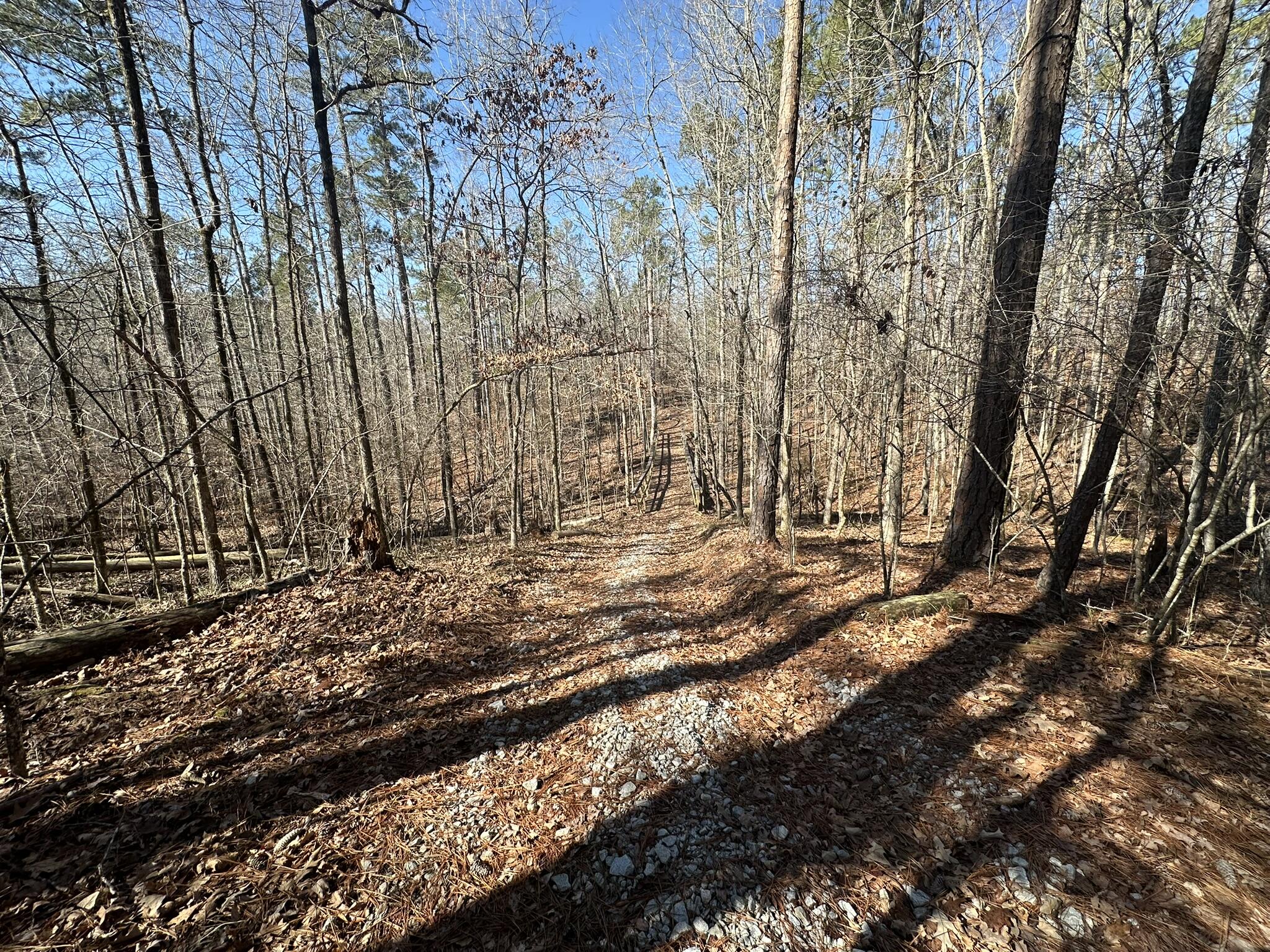 Lot 31 31 Willow Way Property Photo 11
