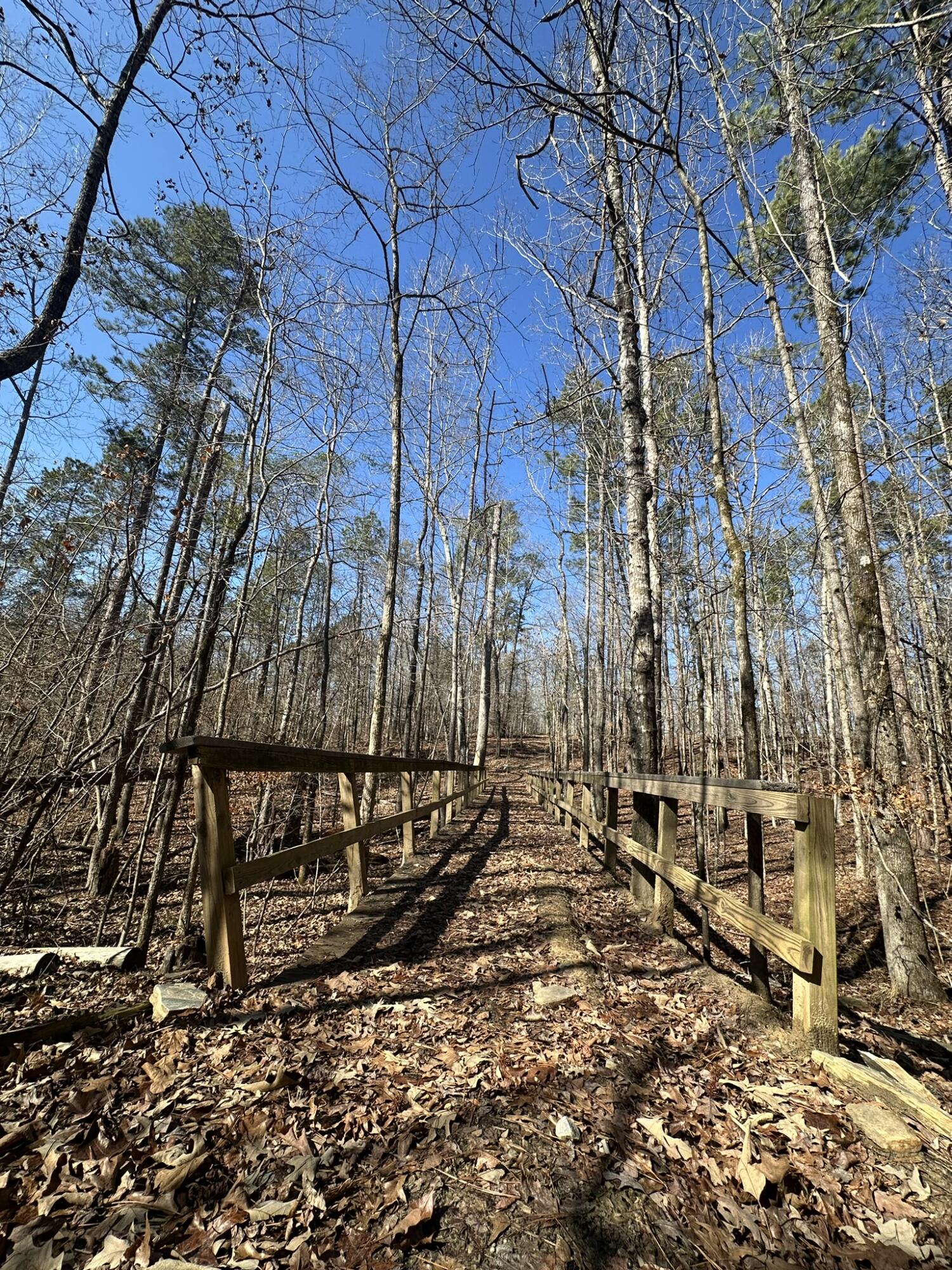Lot 31 31 Willow Way Property Photo 12