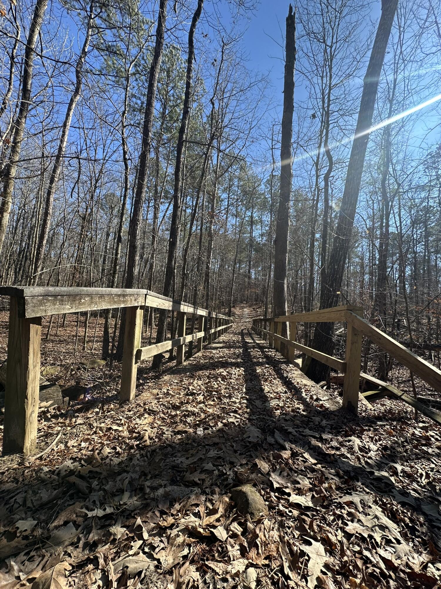 Lot 31 31 Willow Way Property Photo 13