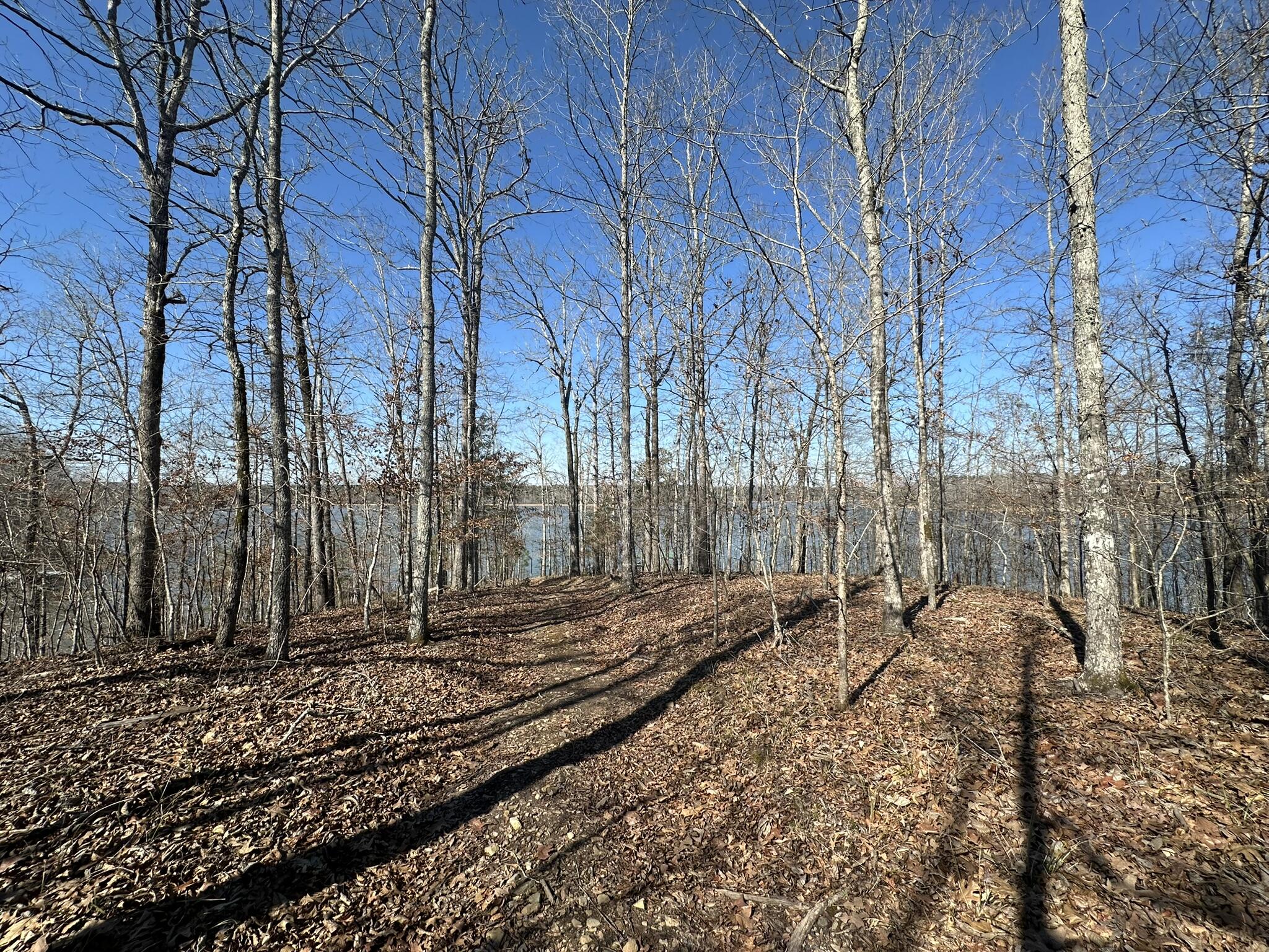 Lot 31 31 Willow Way Property Photo 14
