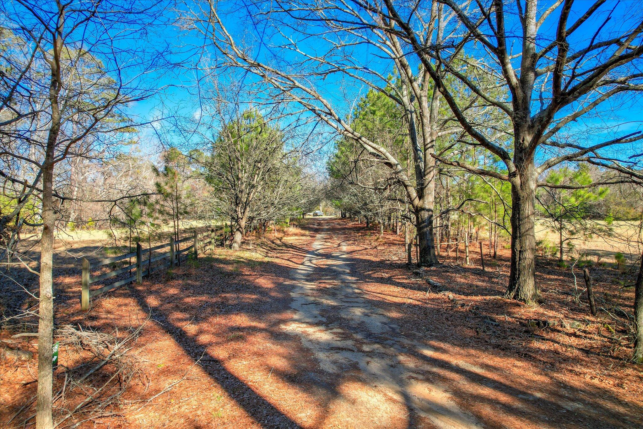 1138 Ben Lane Property Photo 3