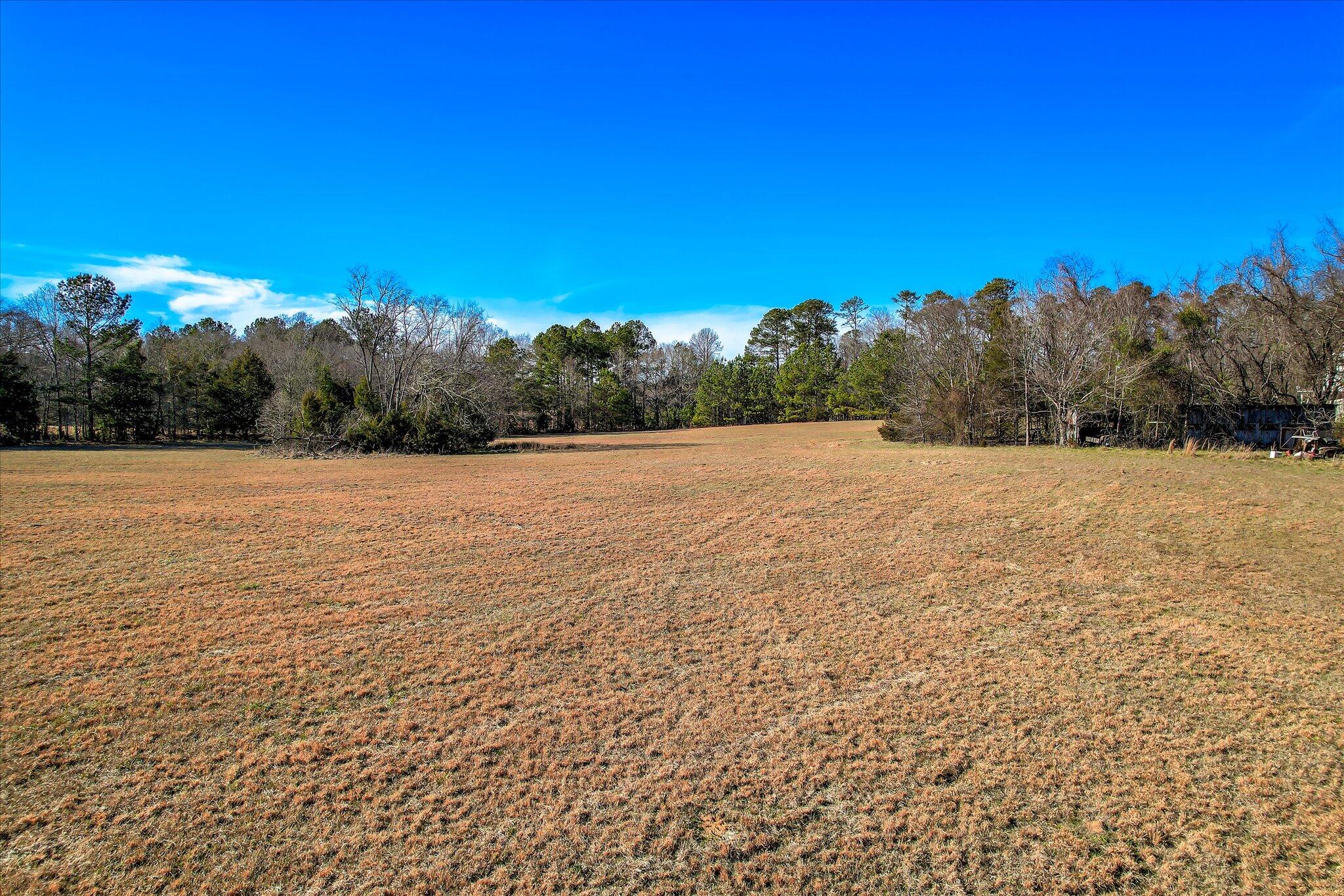 1138 Ben Lane Property Photo 4