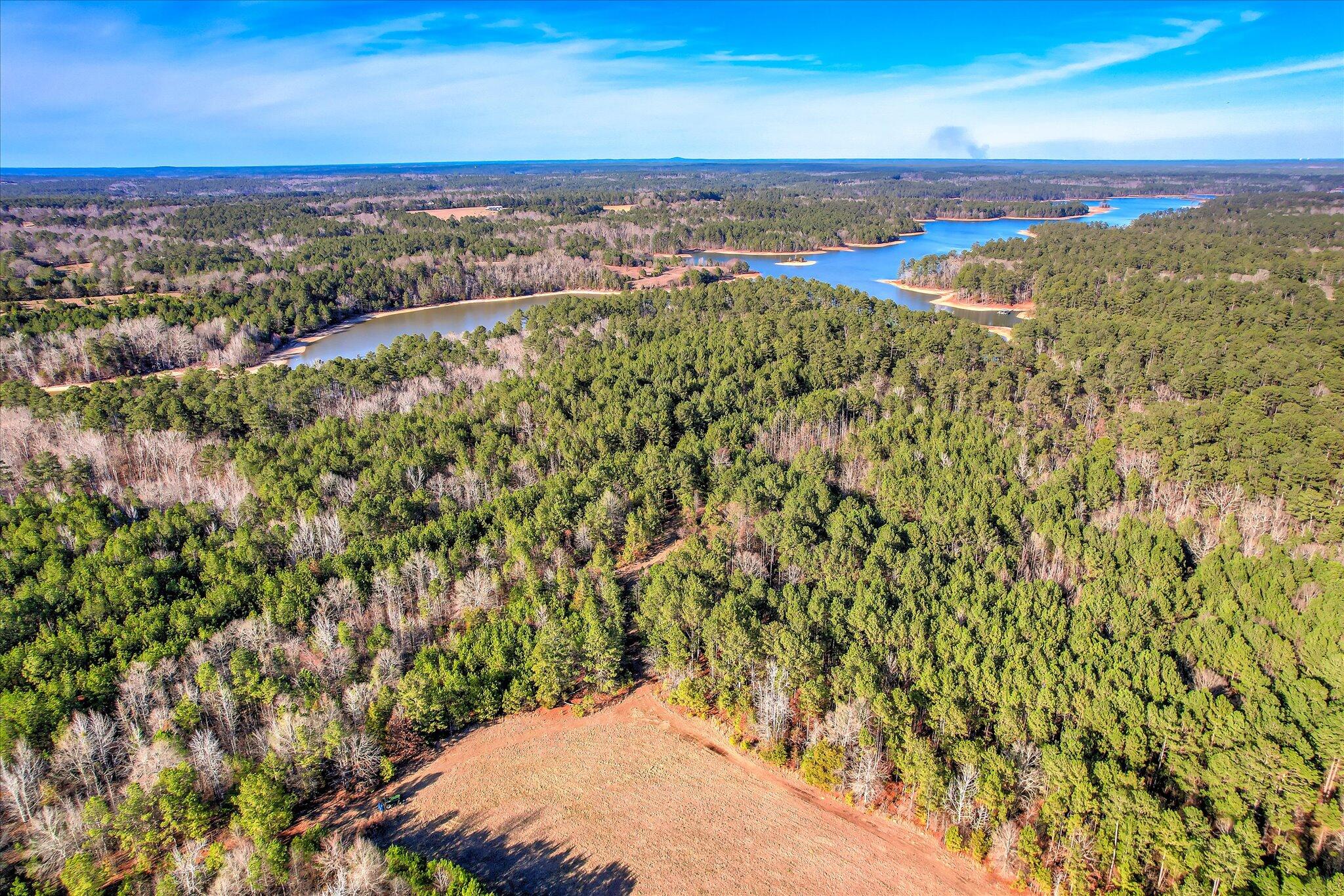 1138 Ben Lane Property Photo 6