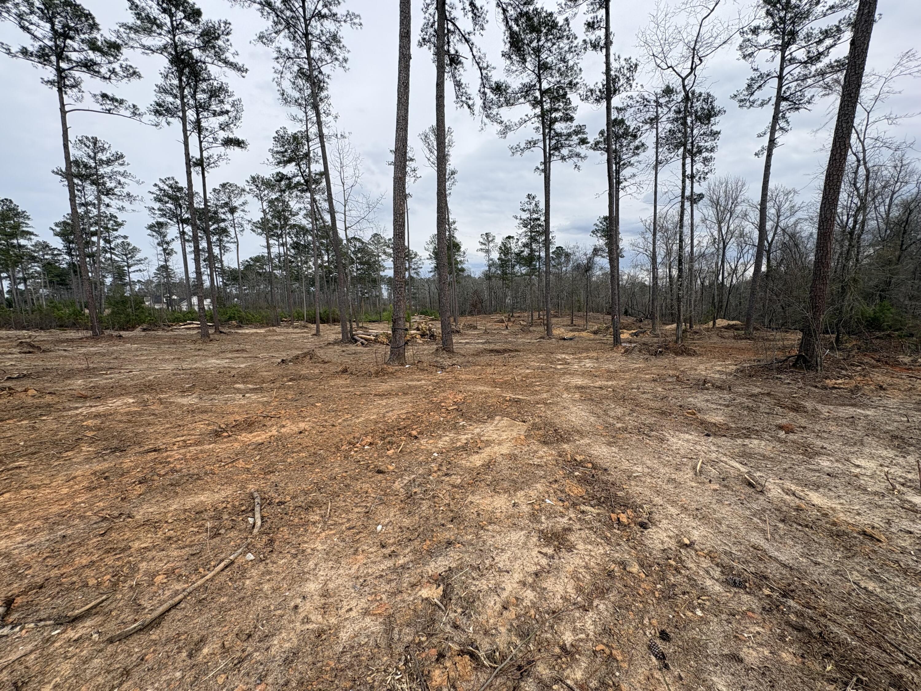 5672 White Oak Road Property Photo 4