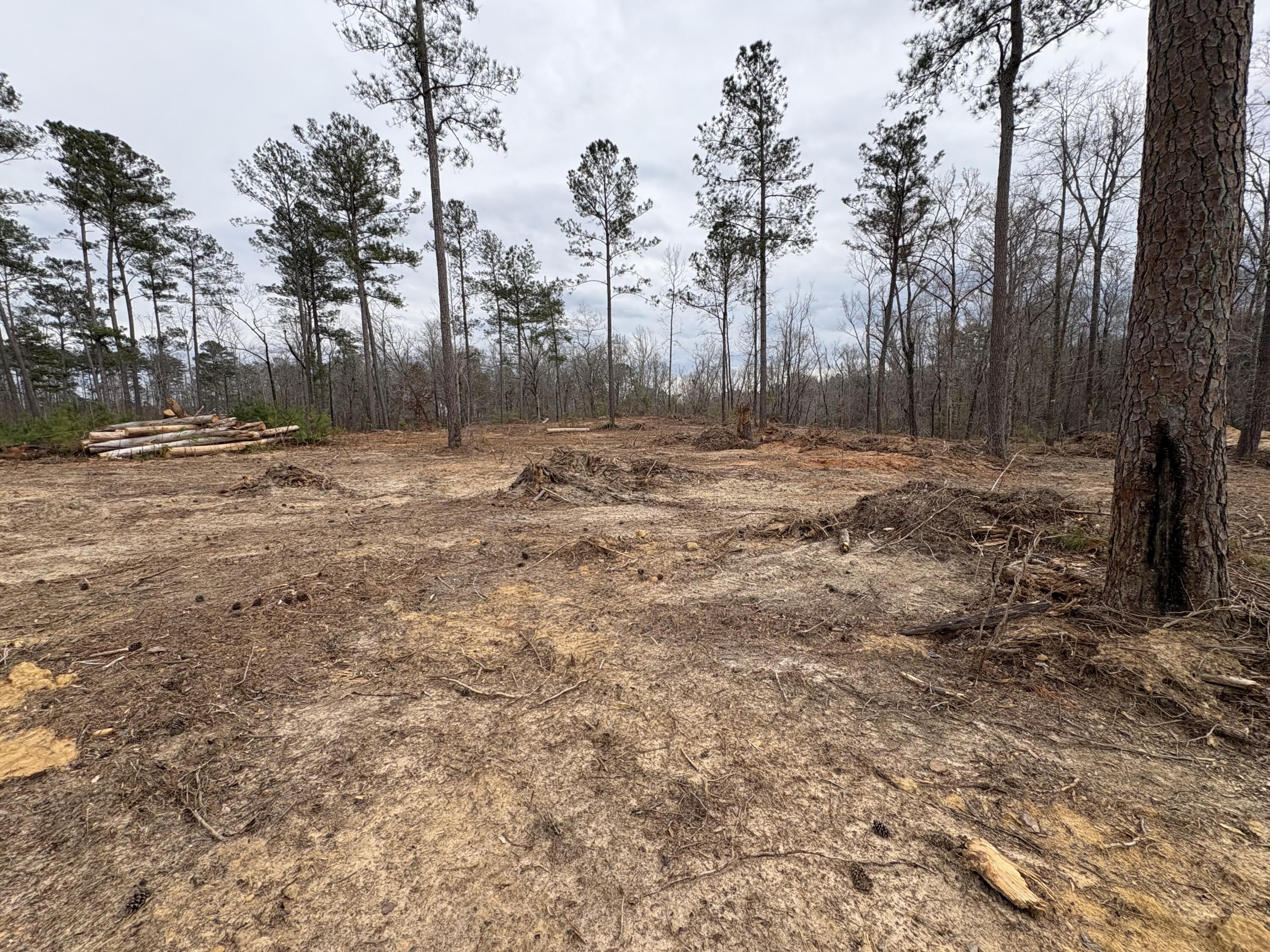 5672 White Oak Road Property Photo 5