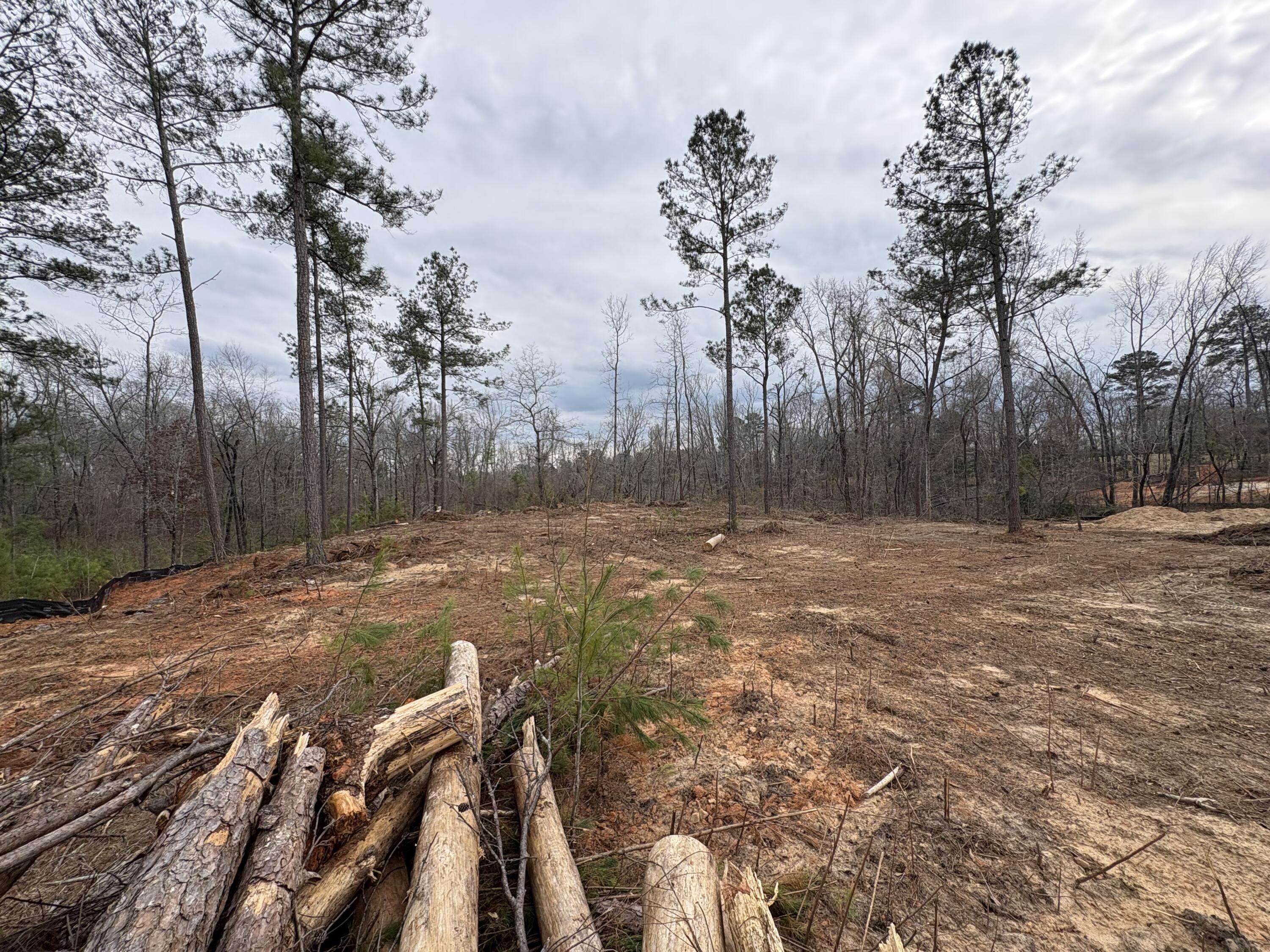 5672 White Oak Road Property Photo 7