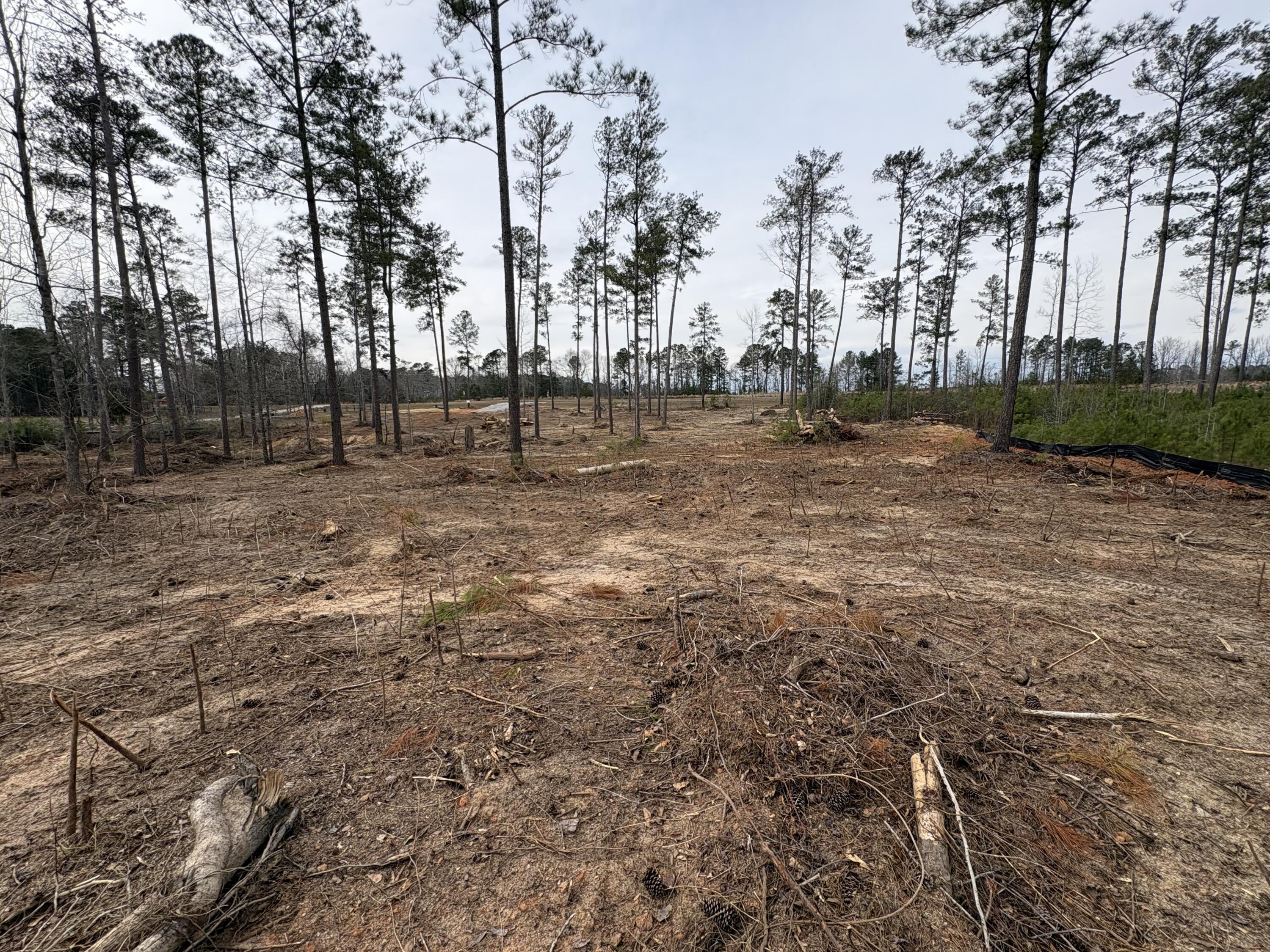 5672 White Oak Road Property Photo 8