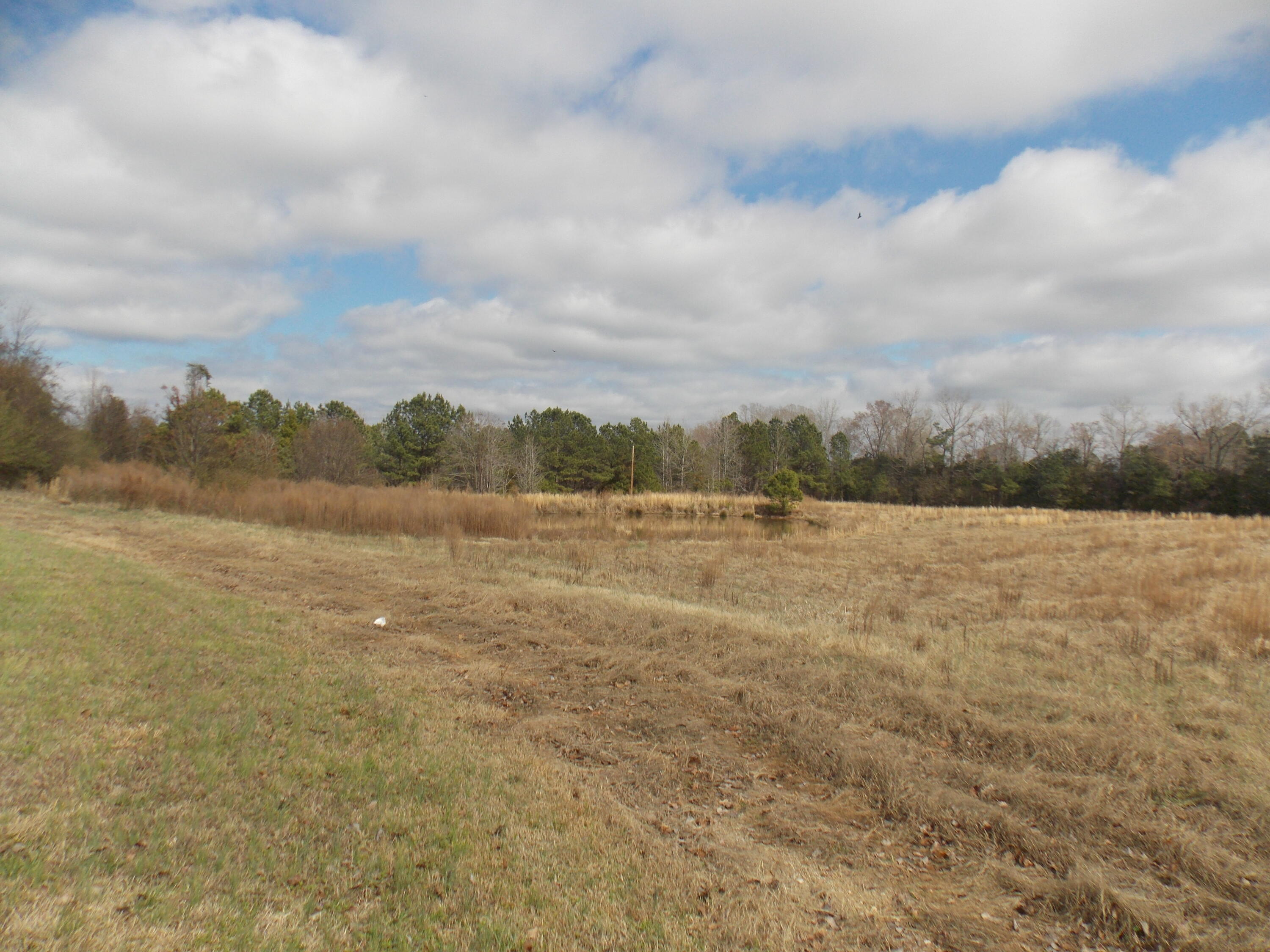 4232 Double Branches Road Property Photo 2