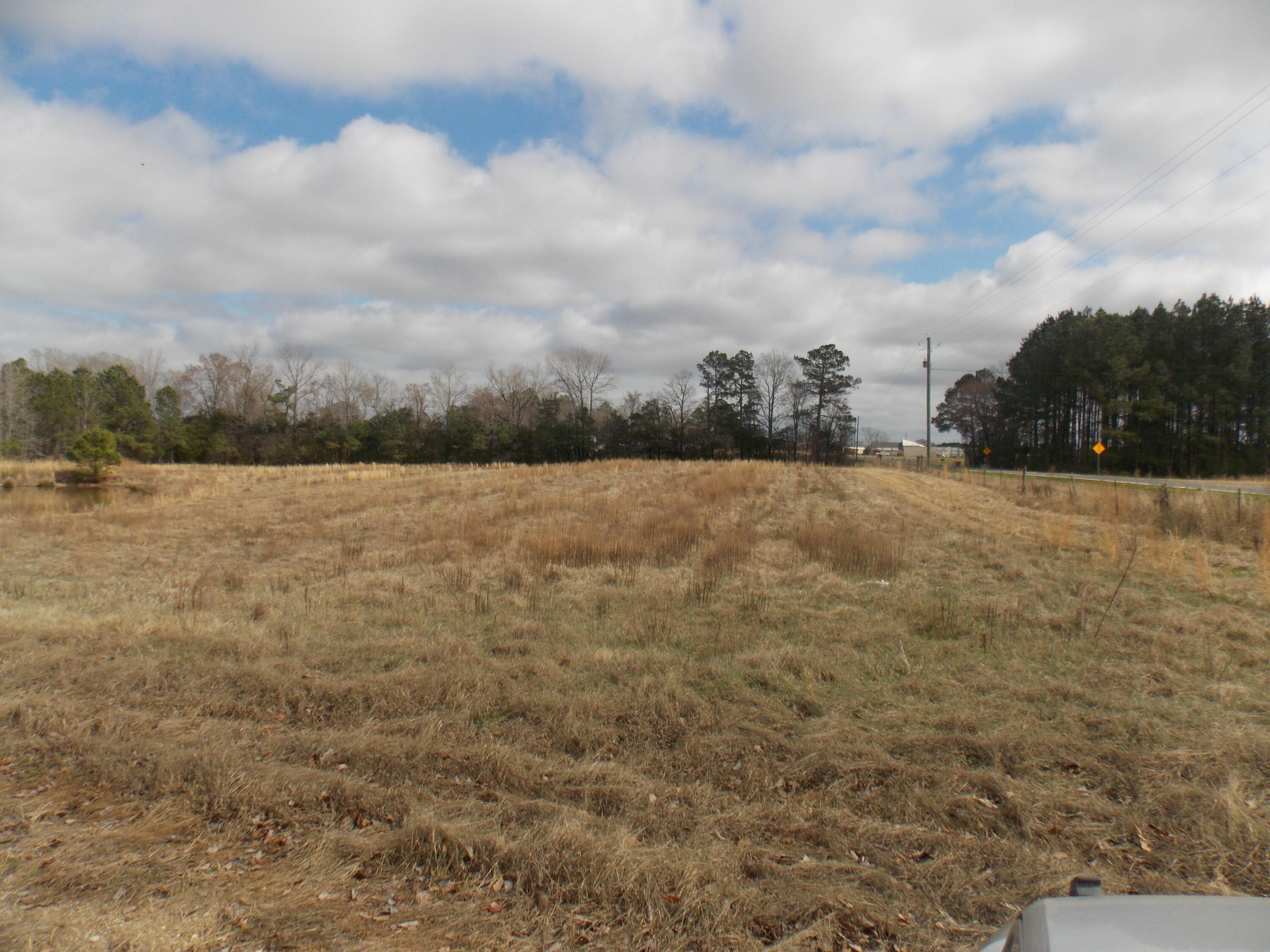 4232 Double Branches Road Property Photo 3