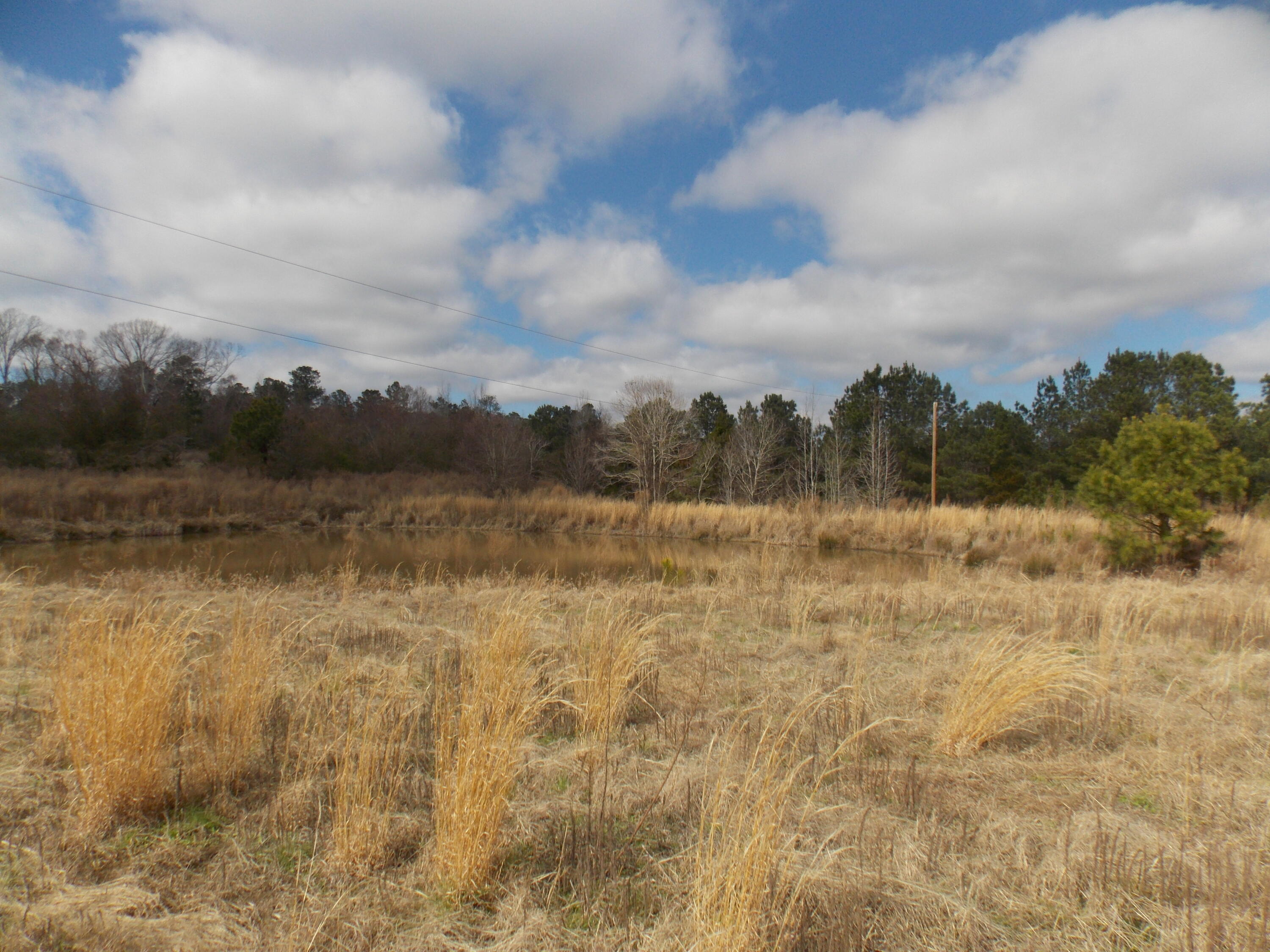 4232 Double Branches Road Property Photo 5