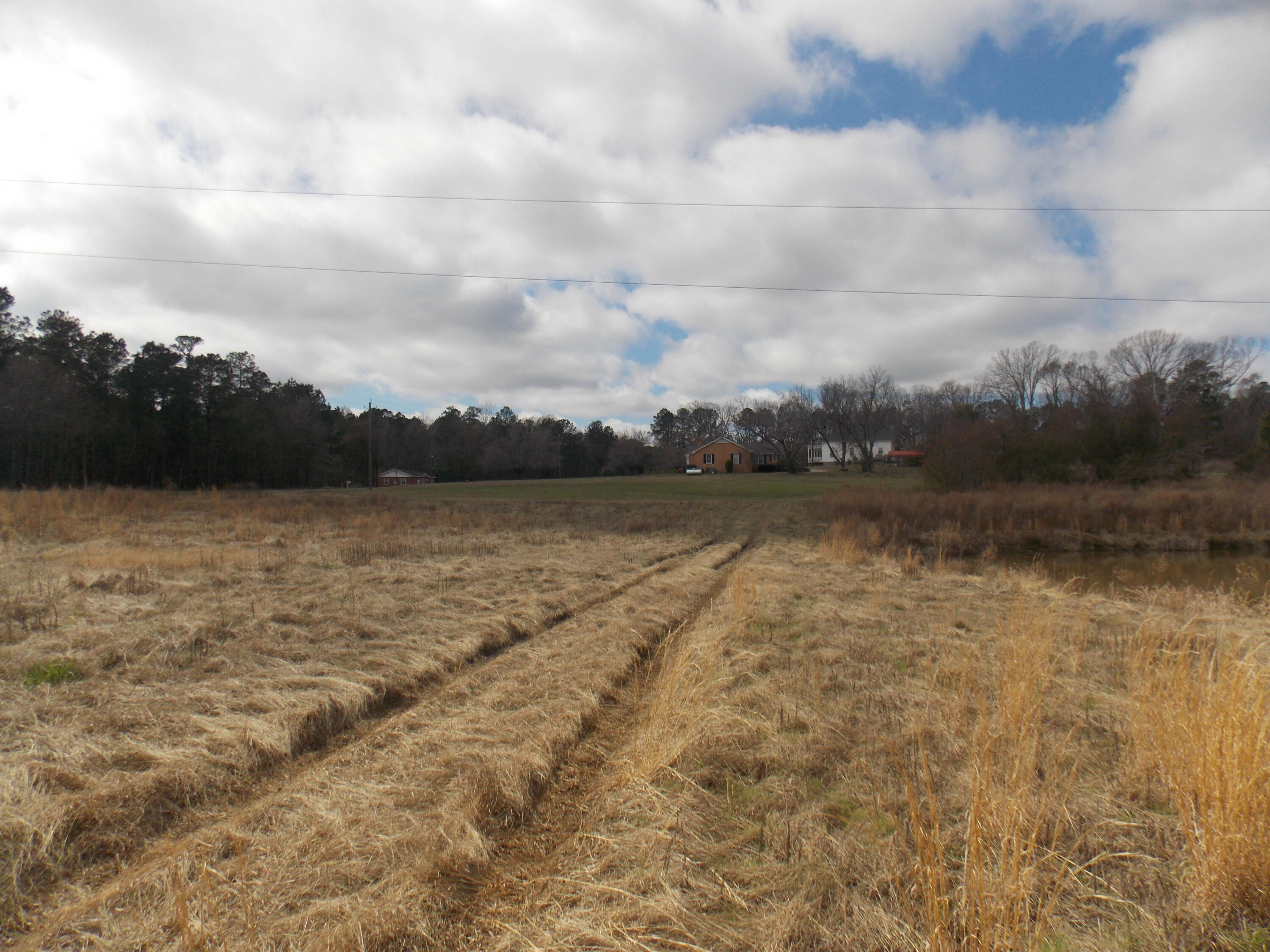 4232 Double Branches Road Property Photo 6