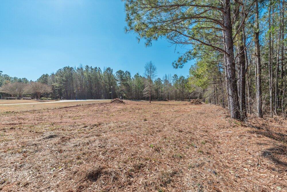 1421 14 Dunwoody Place Property Photo 3