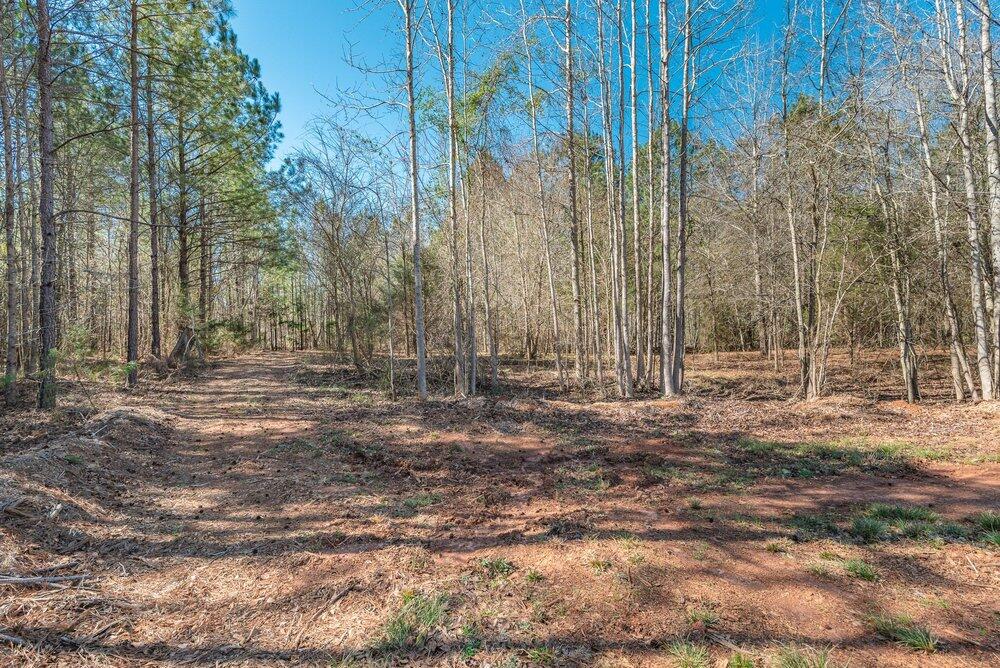 1421 14 Dunwoody Place Property Photo 7
