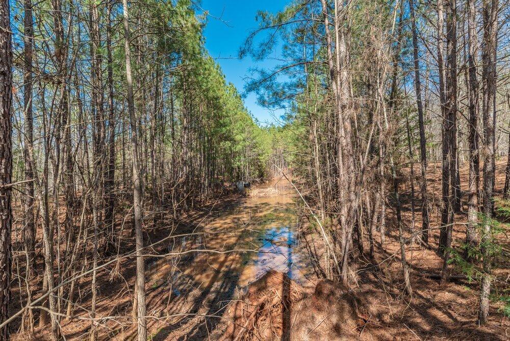 1421 14 Dunwoody Place Property Photo 11