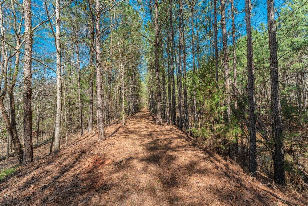 1421 14 Dunwoody Place Property Photo 12
