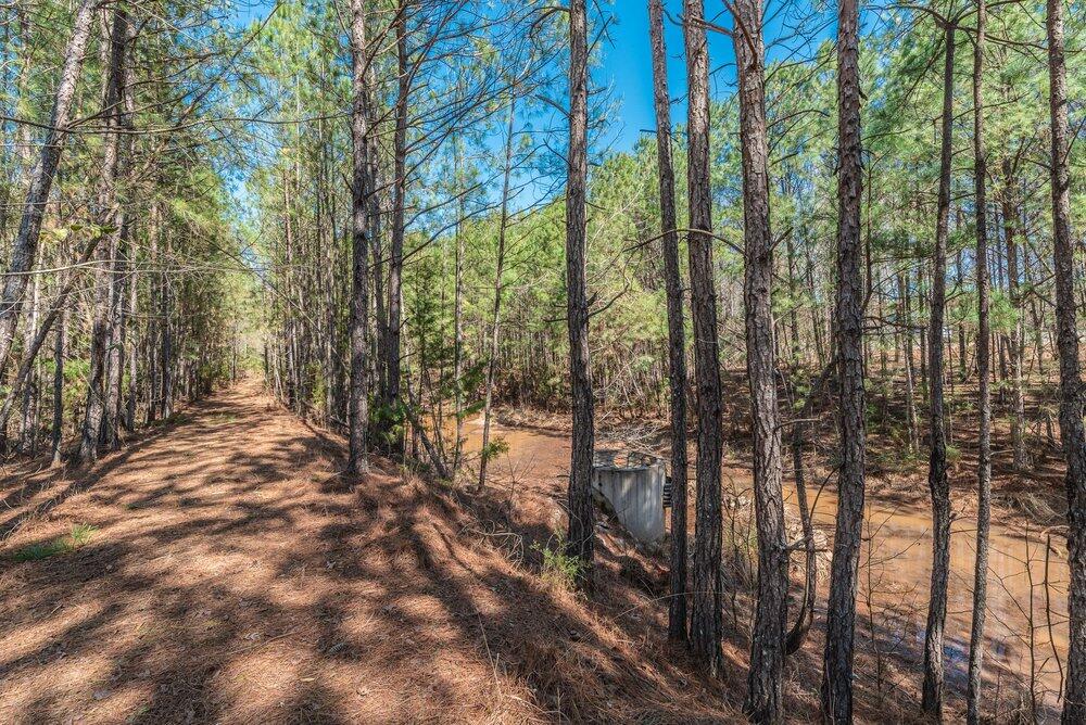 1421 14 Dunwoody Place Property Photo 13