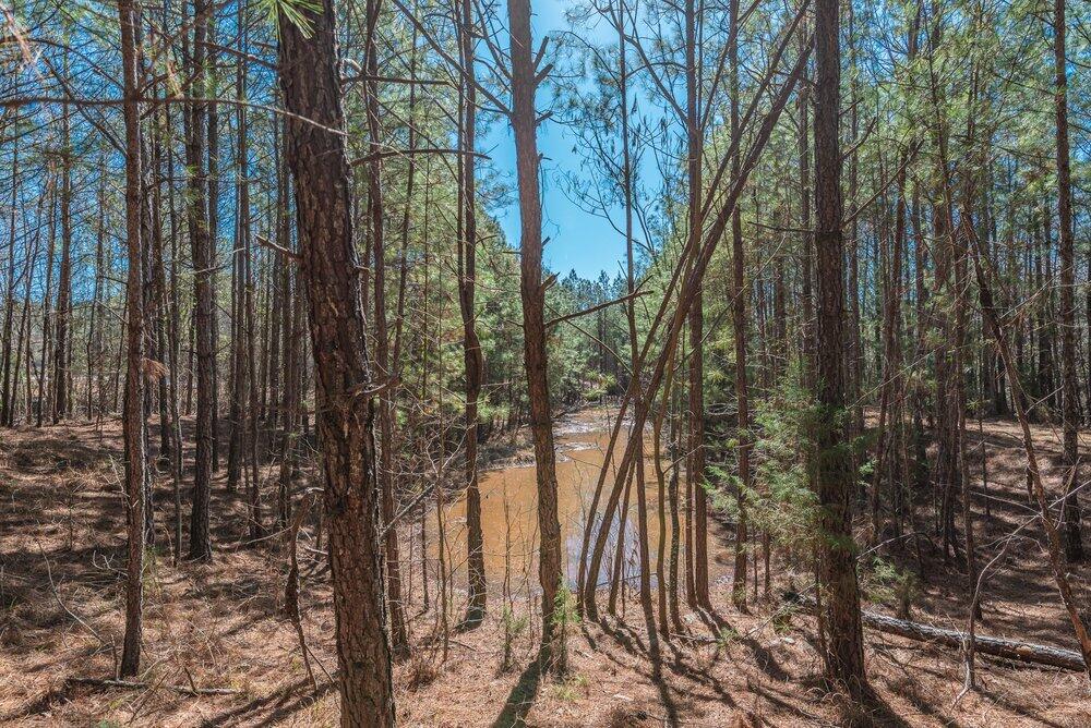 1421 14 Dunwoody Place Property Photo 14