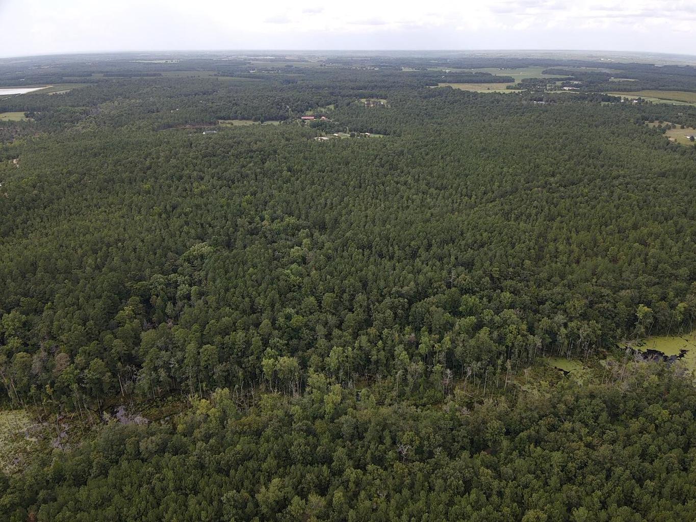 Tbd Johnston Highway Property Photo 3