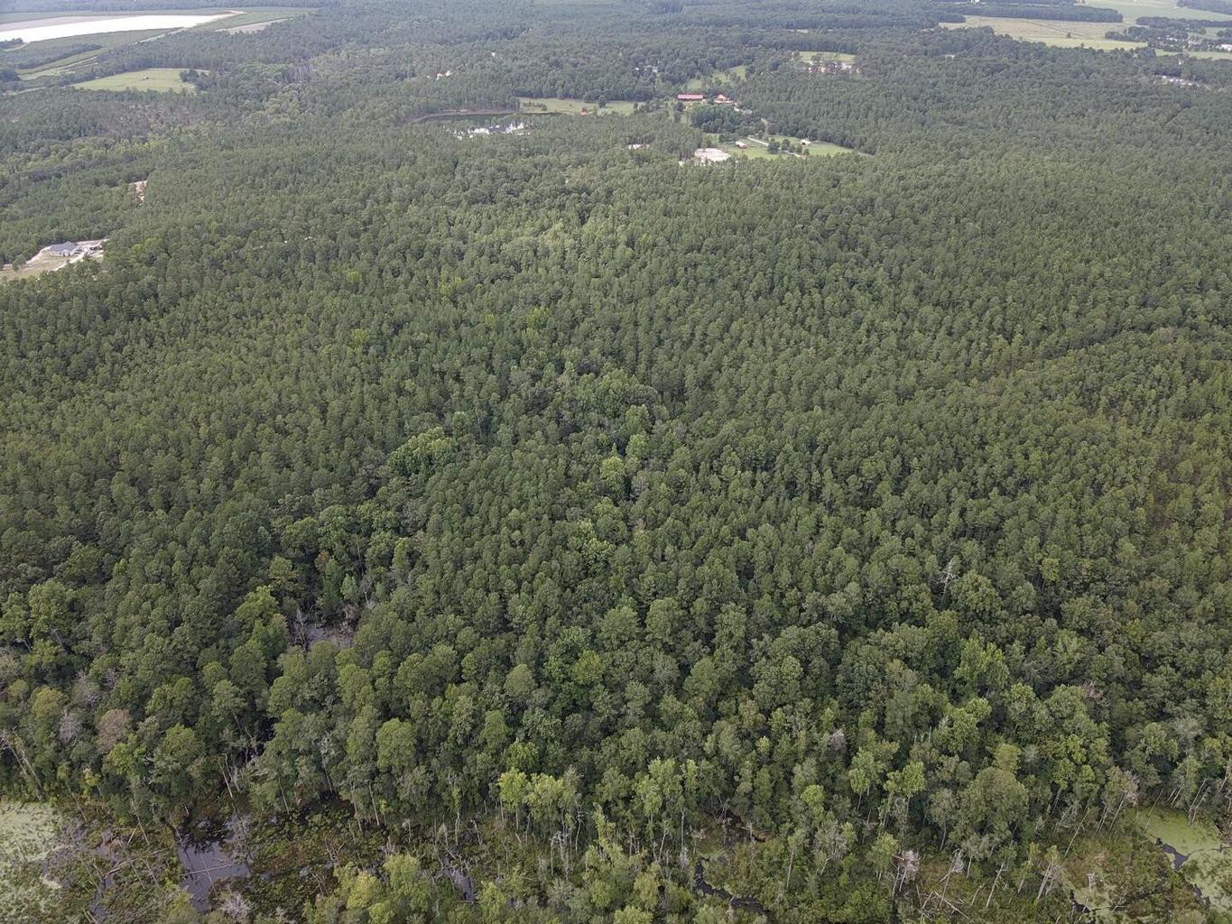 Tbd Johnston Highway Property Photo 4