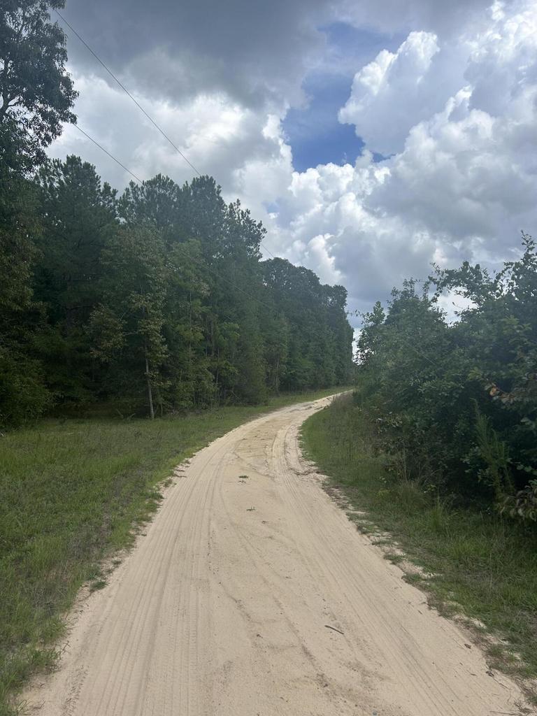 Tbd Johnston Highway Property Photo 5