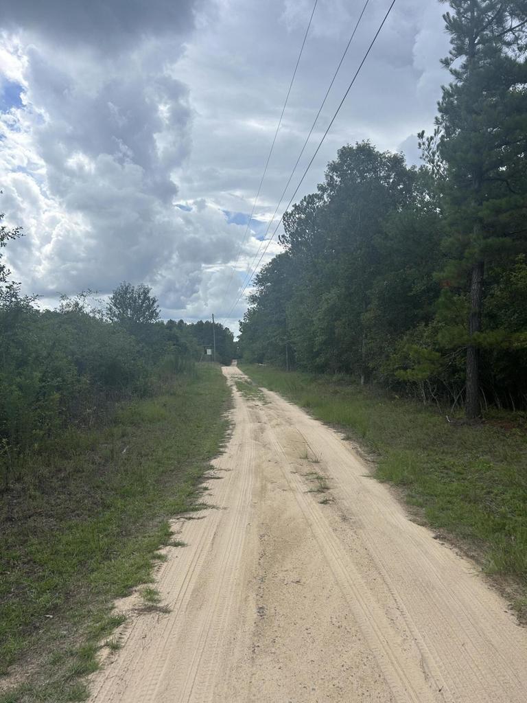 Tbd Johnston Highway Property Photo 6