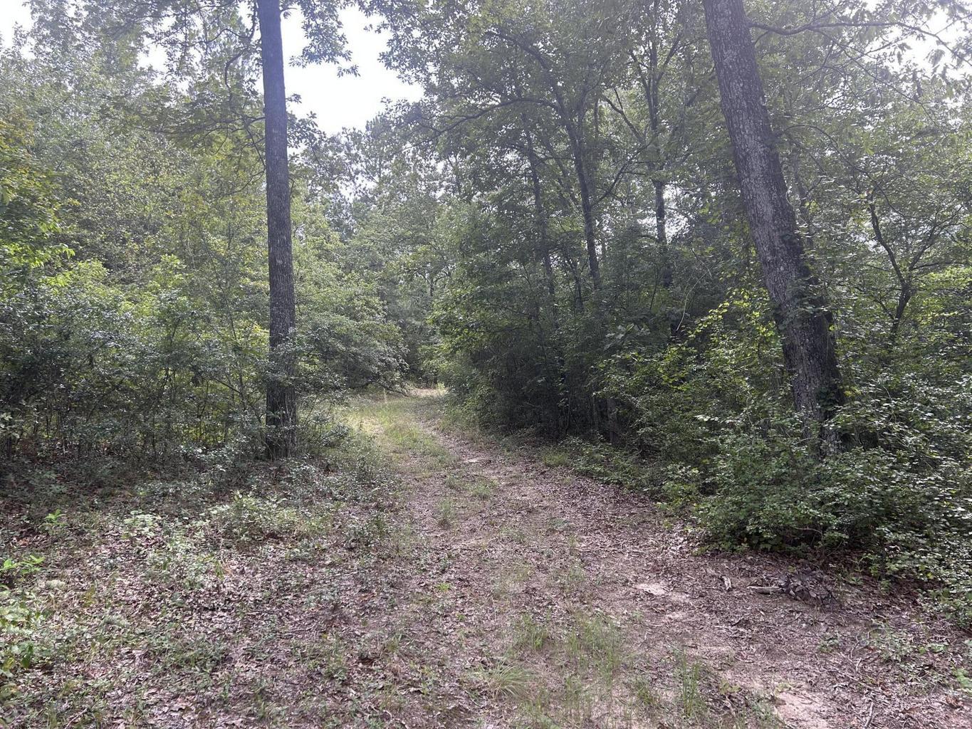 Tbd Johnston Highway Property Photo 7