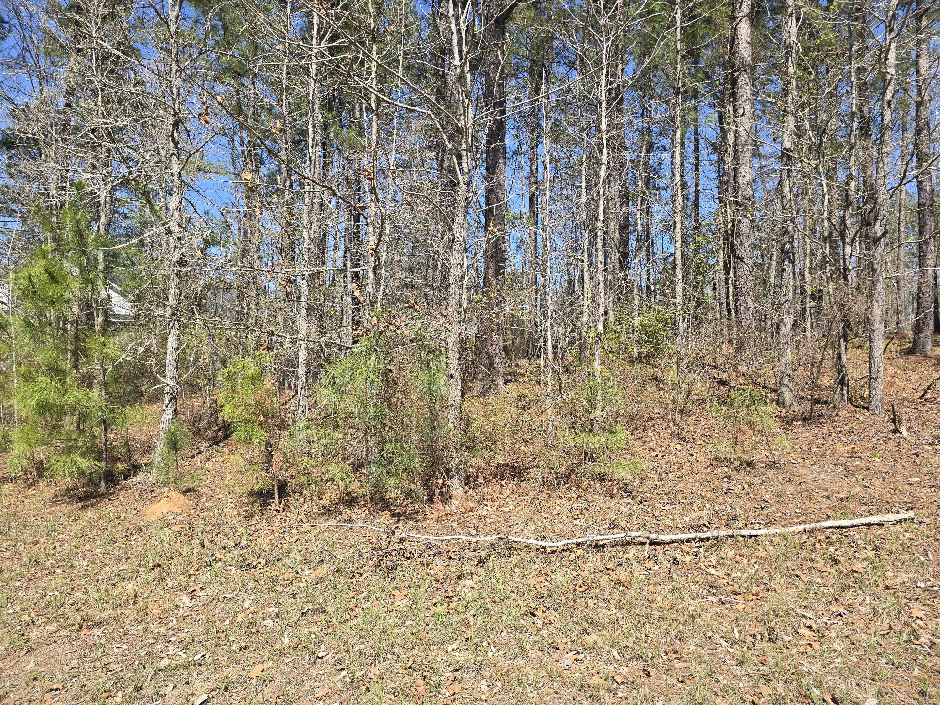 N-27b N-27b Saluda Court Property Photo 2