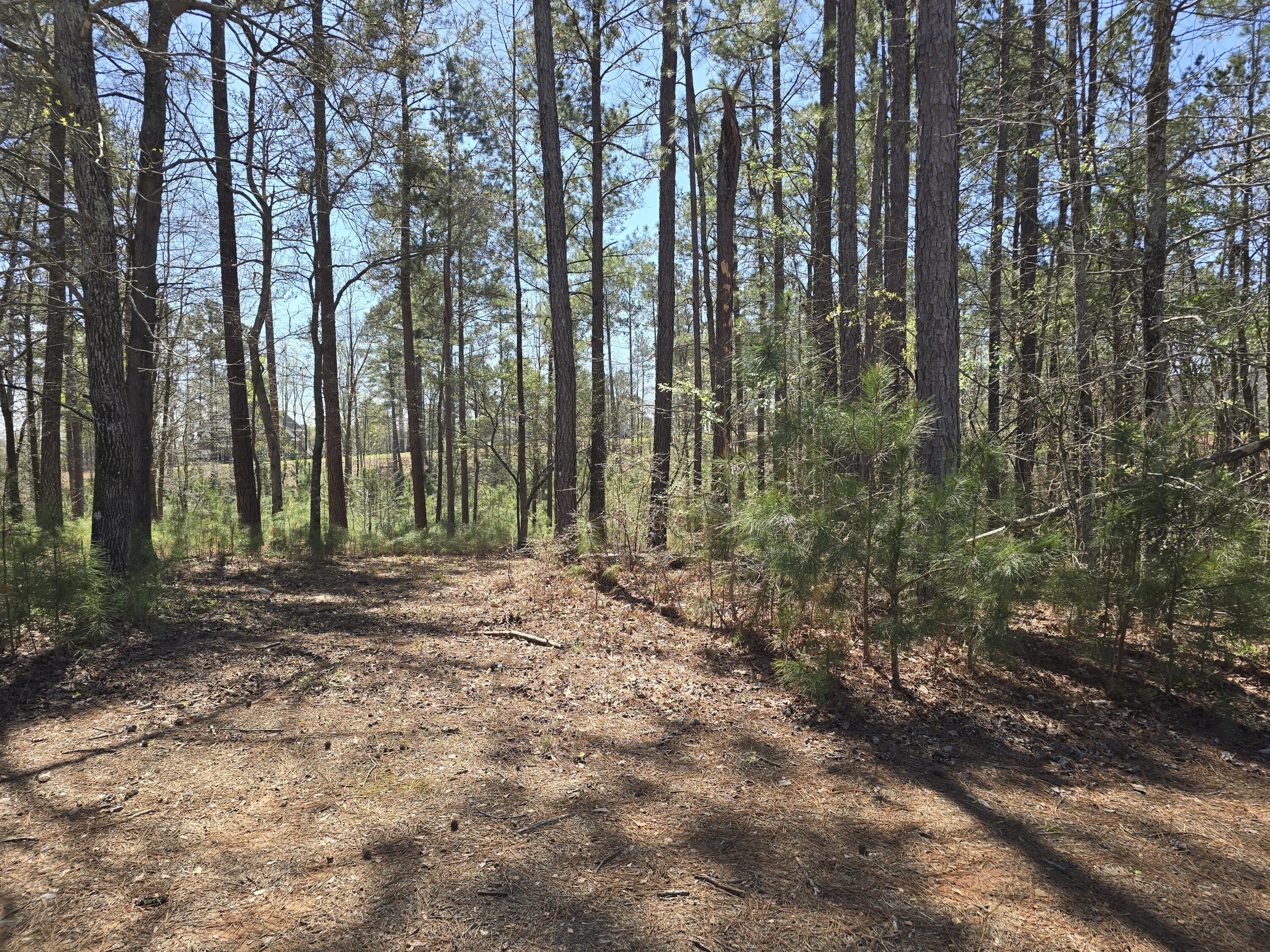 N-27b N-27b Saluda Court Property Photo 4
