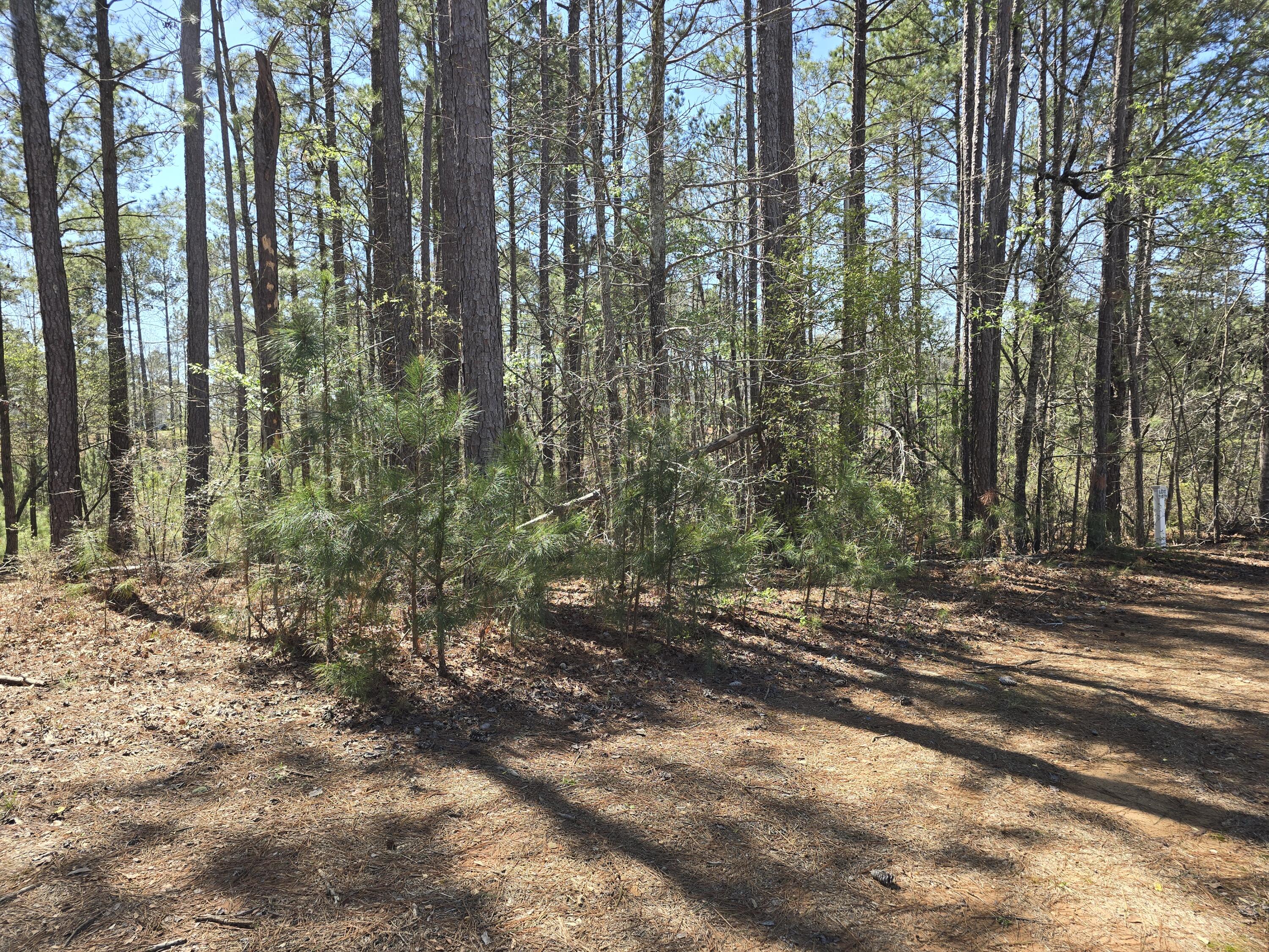 N-27b N-27b Saluda Court Property Photo 5