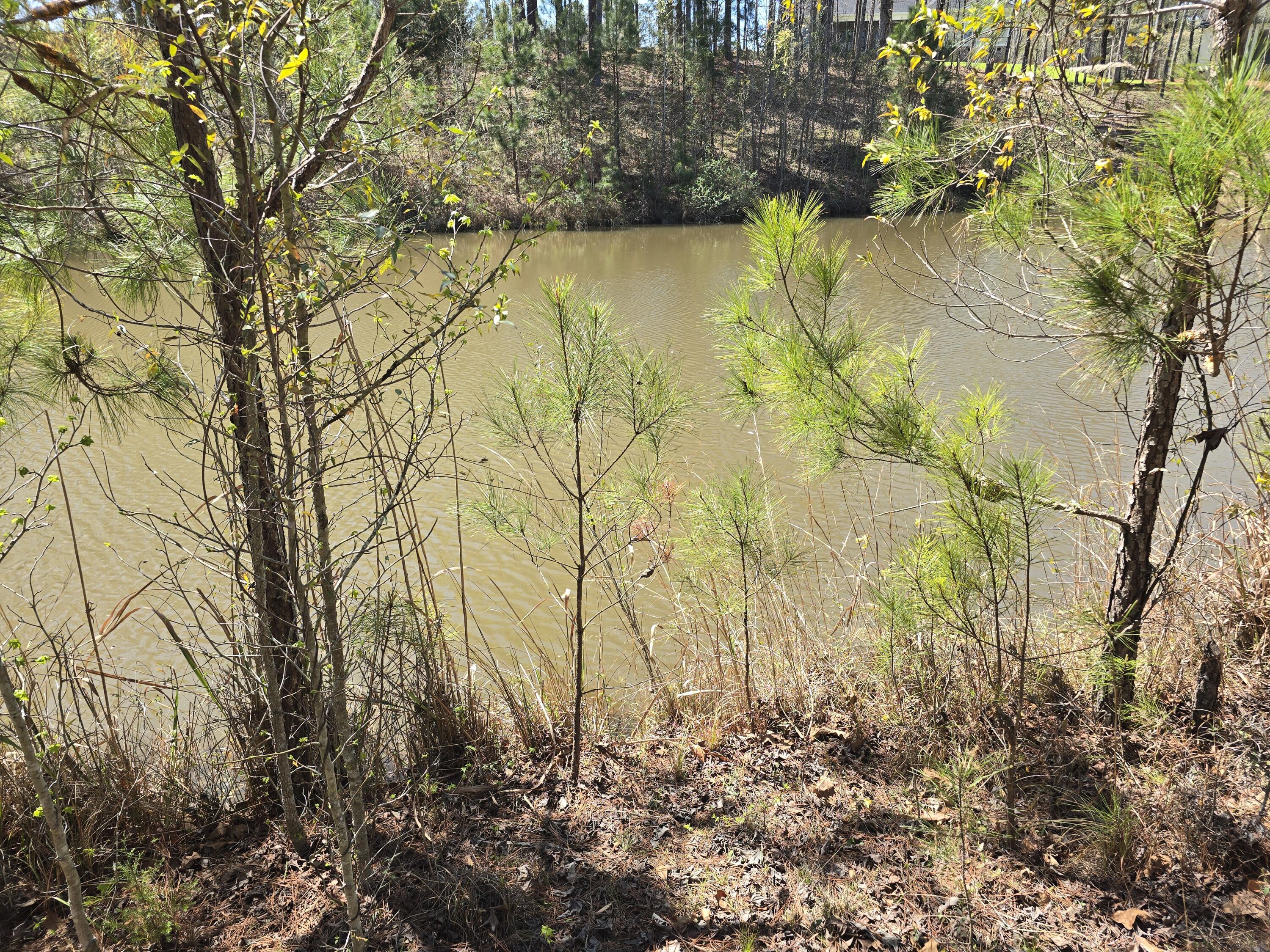 N-27b N-27b Saluda Court Property Photo 9