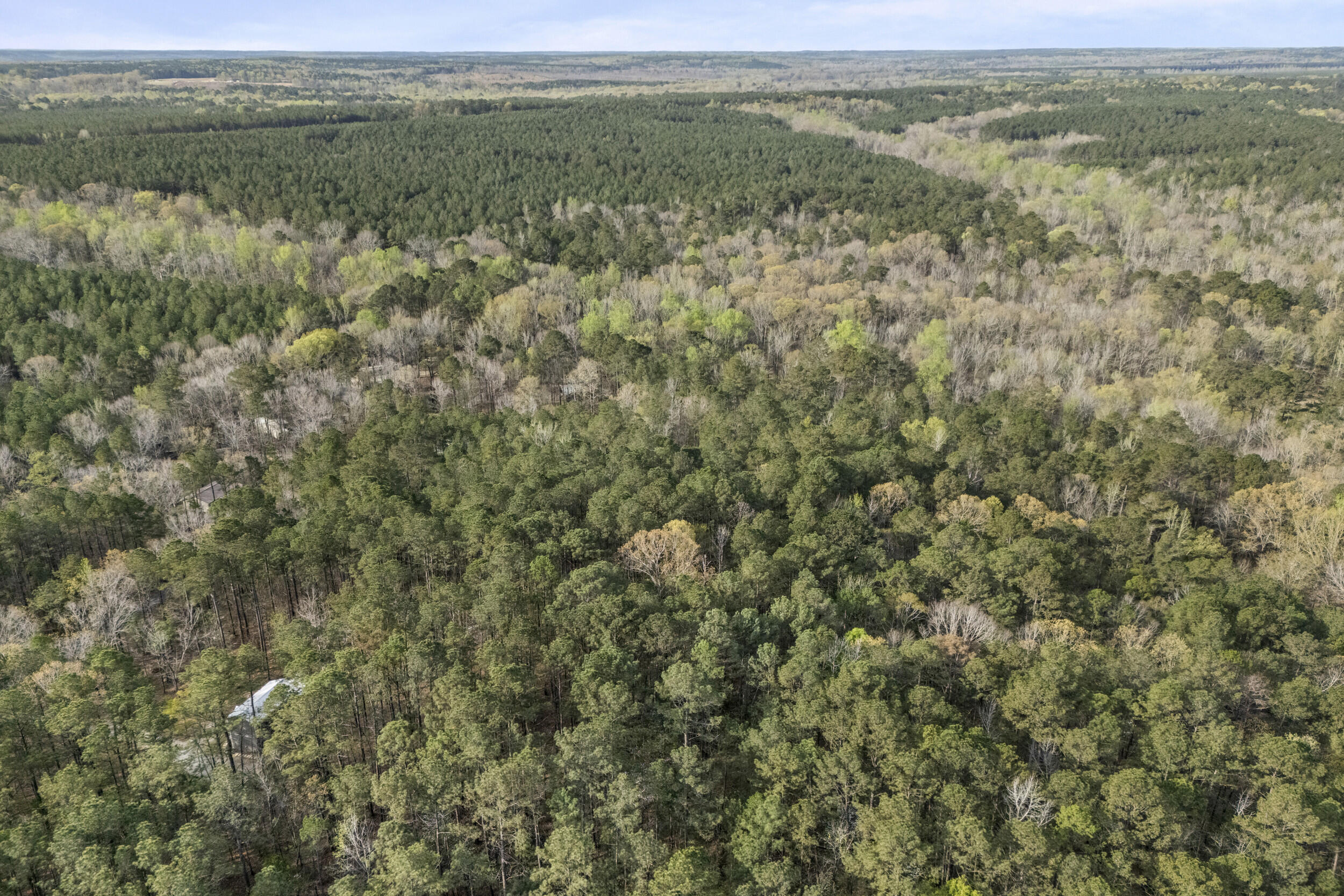 0 Lbk Circle Property Photo 19