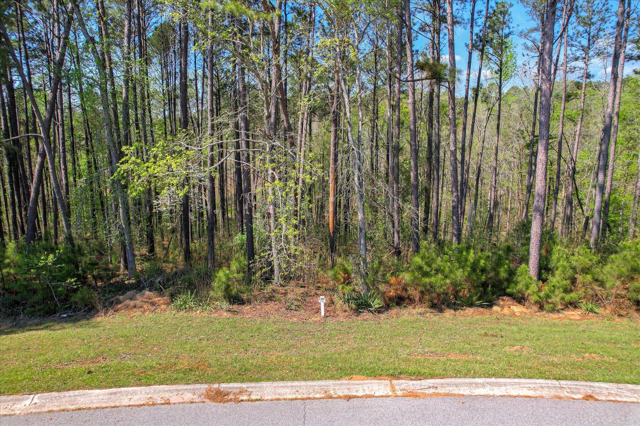 Lot F-015 F-015 Olympian Heights Property Photo 5