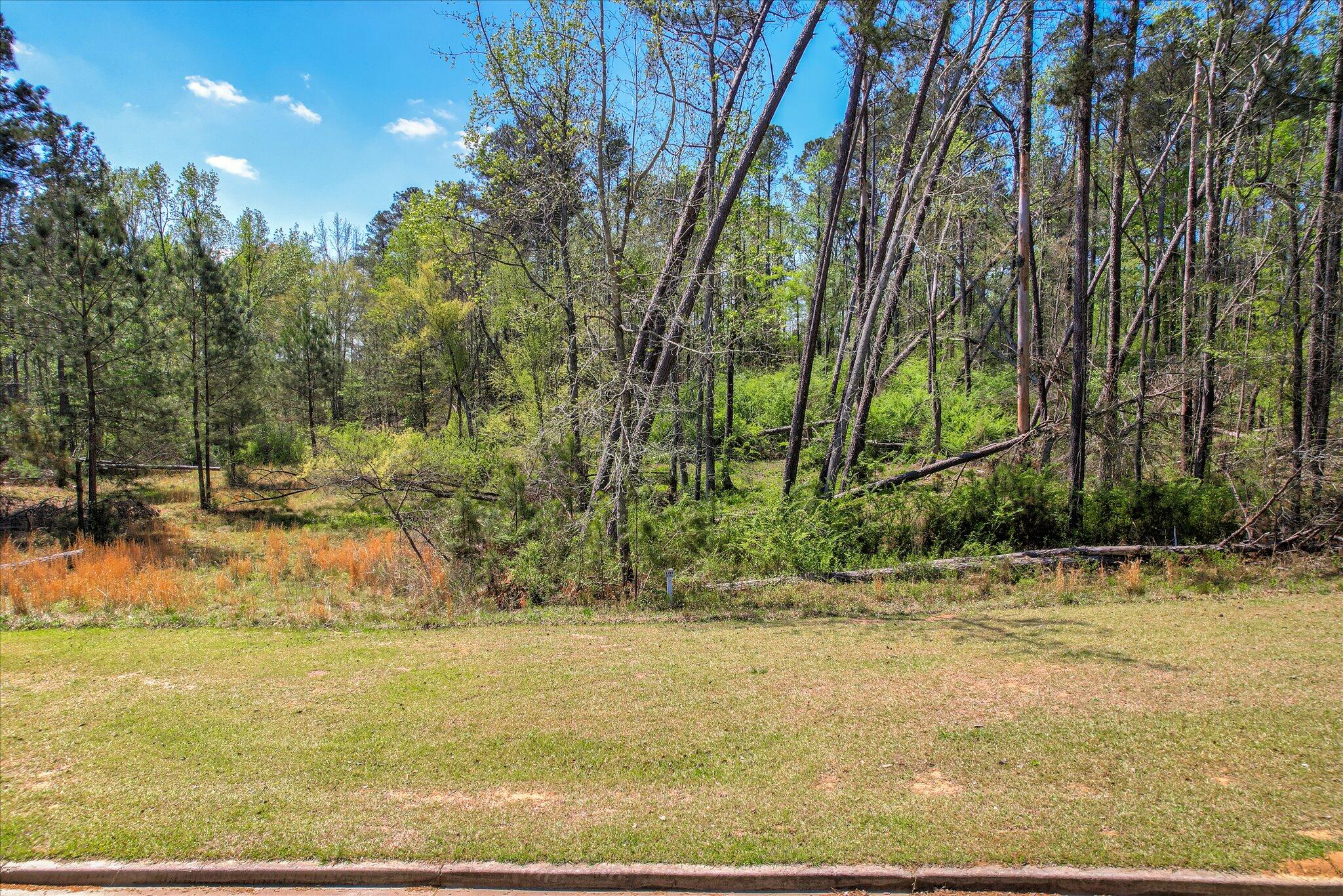 Lot O-050 O-051 Captain Johnsons Drive Property Photo 4