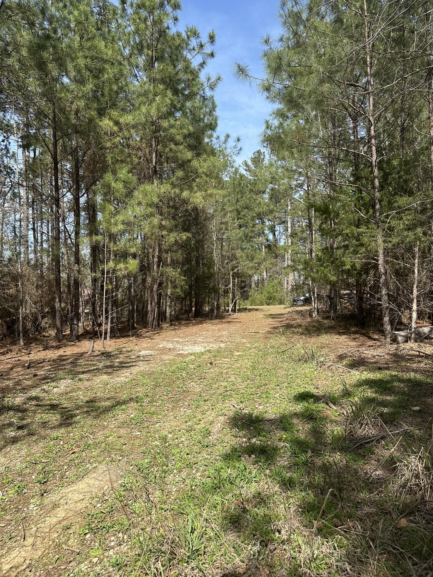 1035 103 Seminole Drive Property Photo 6
