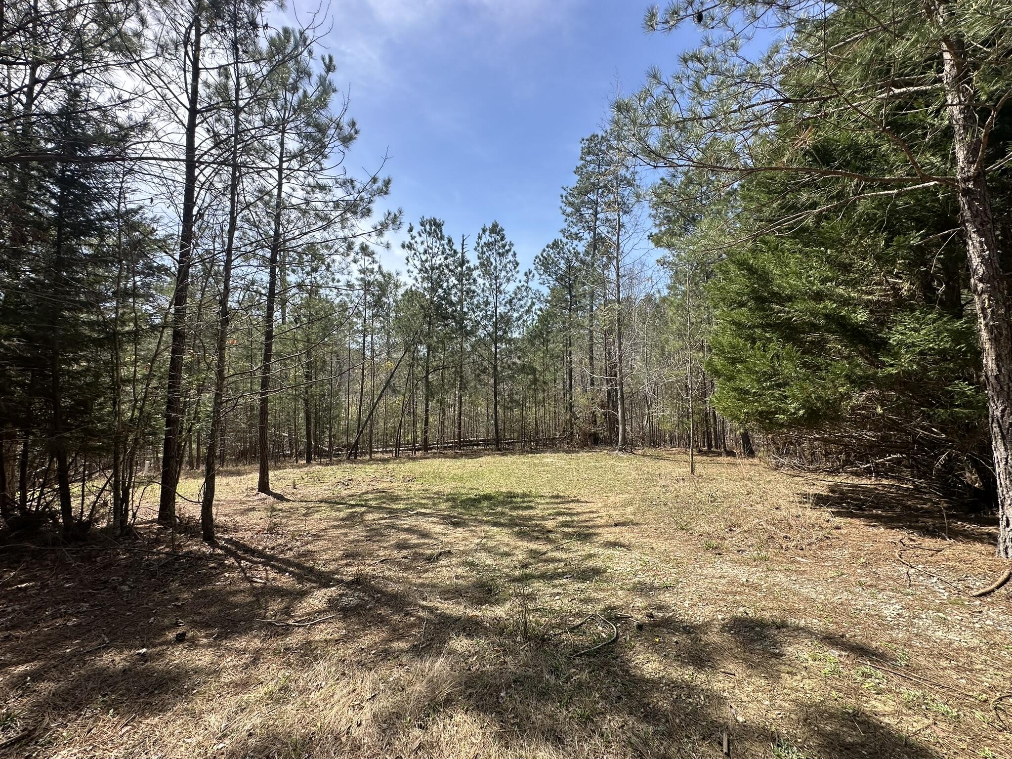 1035 103 Seminole Drive Property Photo 7