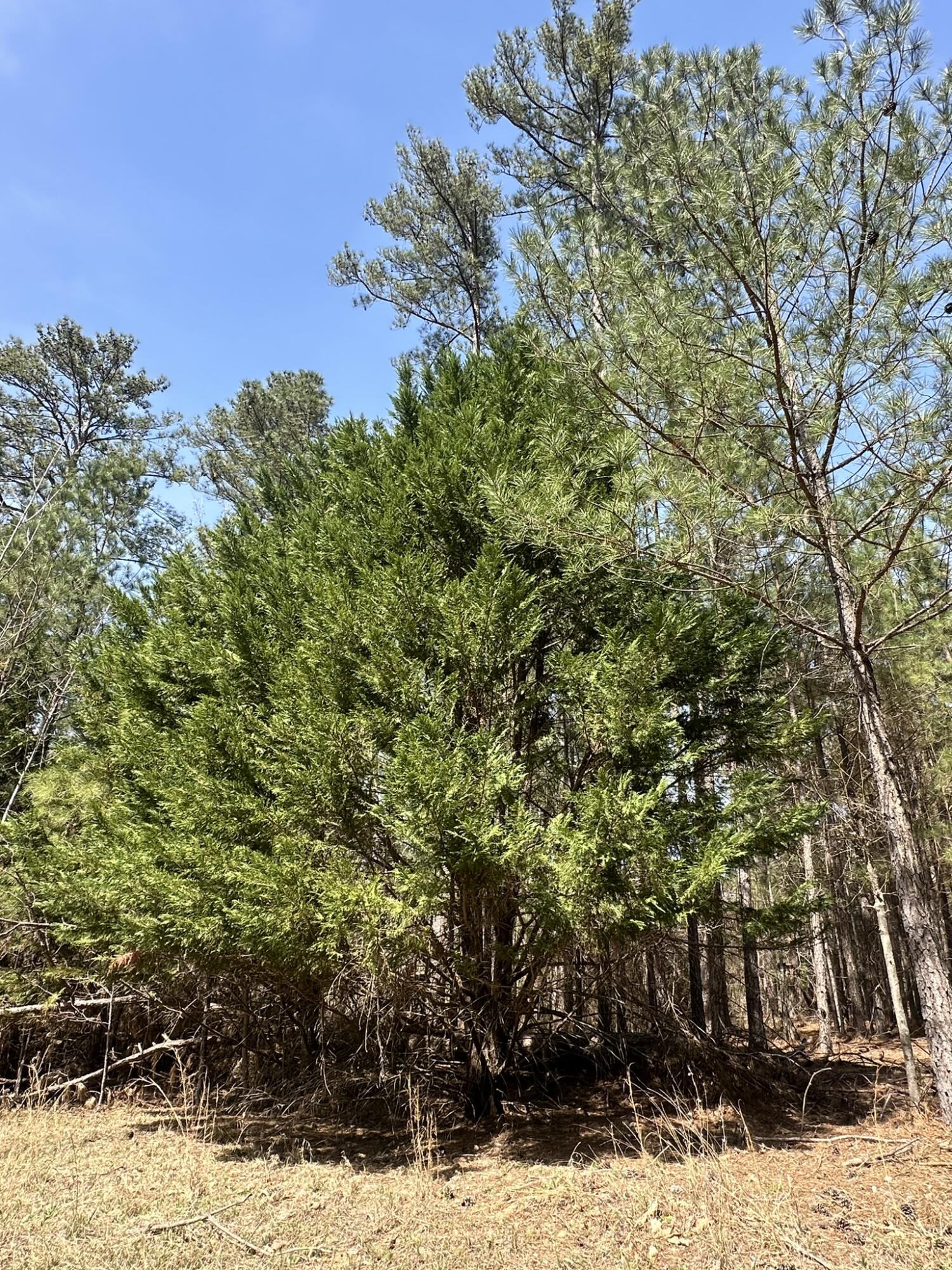 1035 103 Seminole Drive Property Photo 8