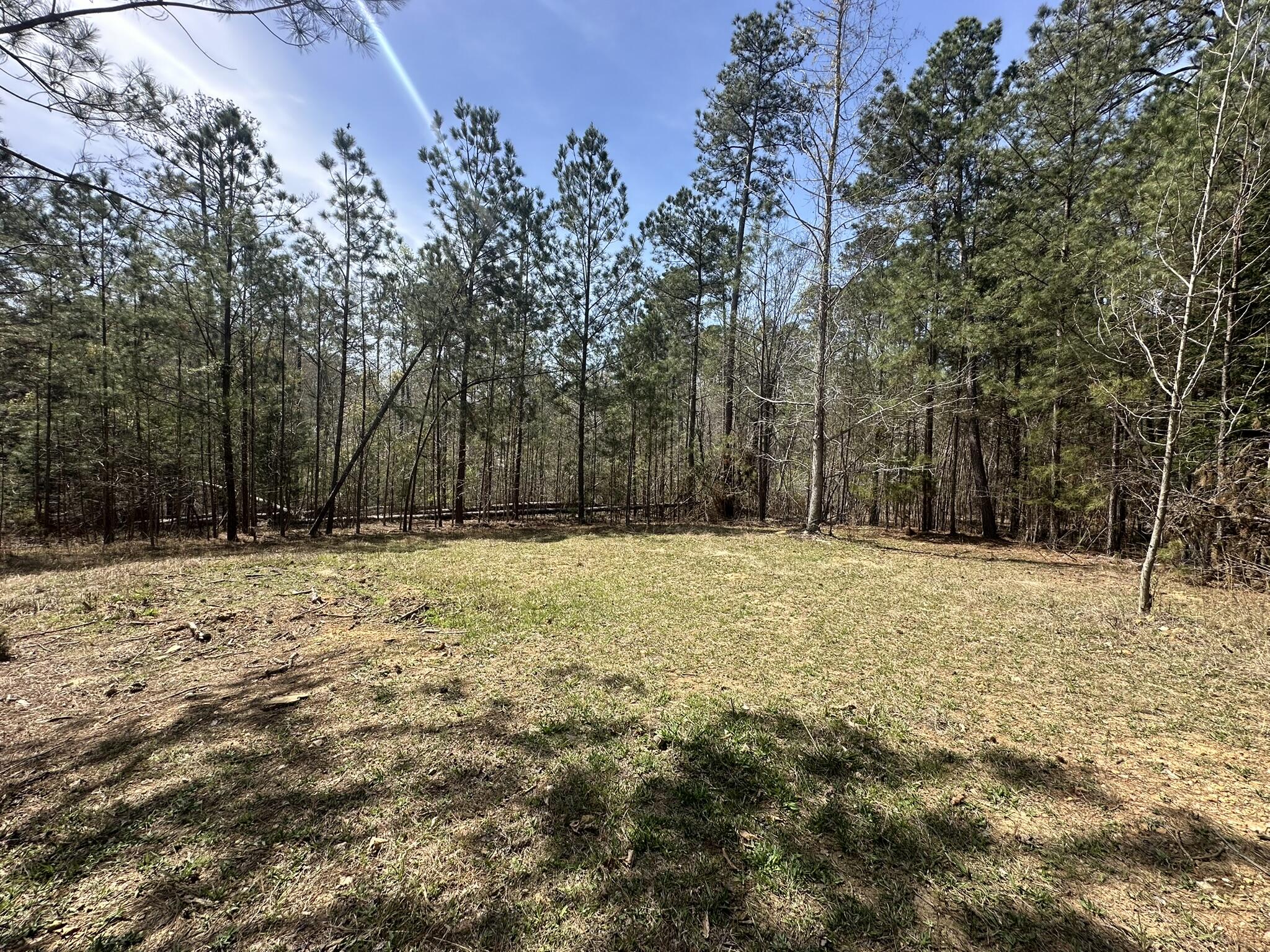 1035 103 Seminole Drive Property Photo 9