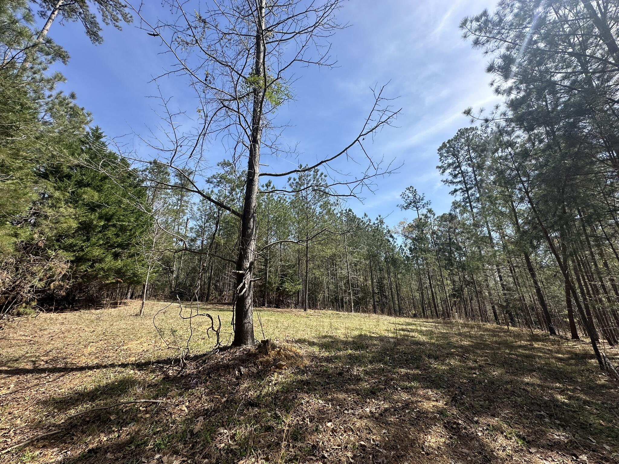 1035 103 Seminole Drive Property Photo 10