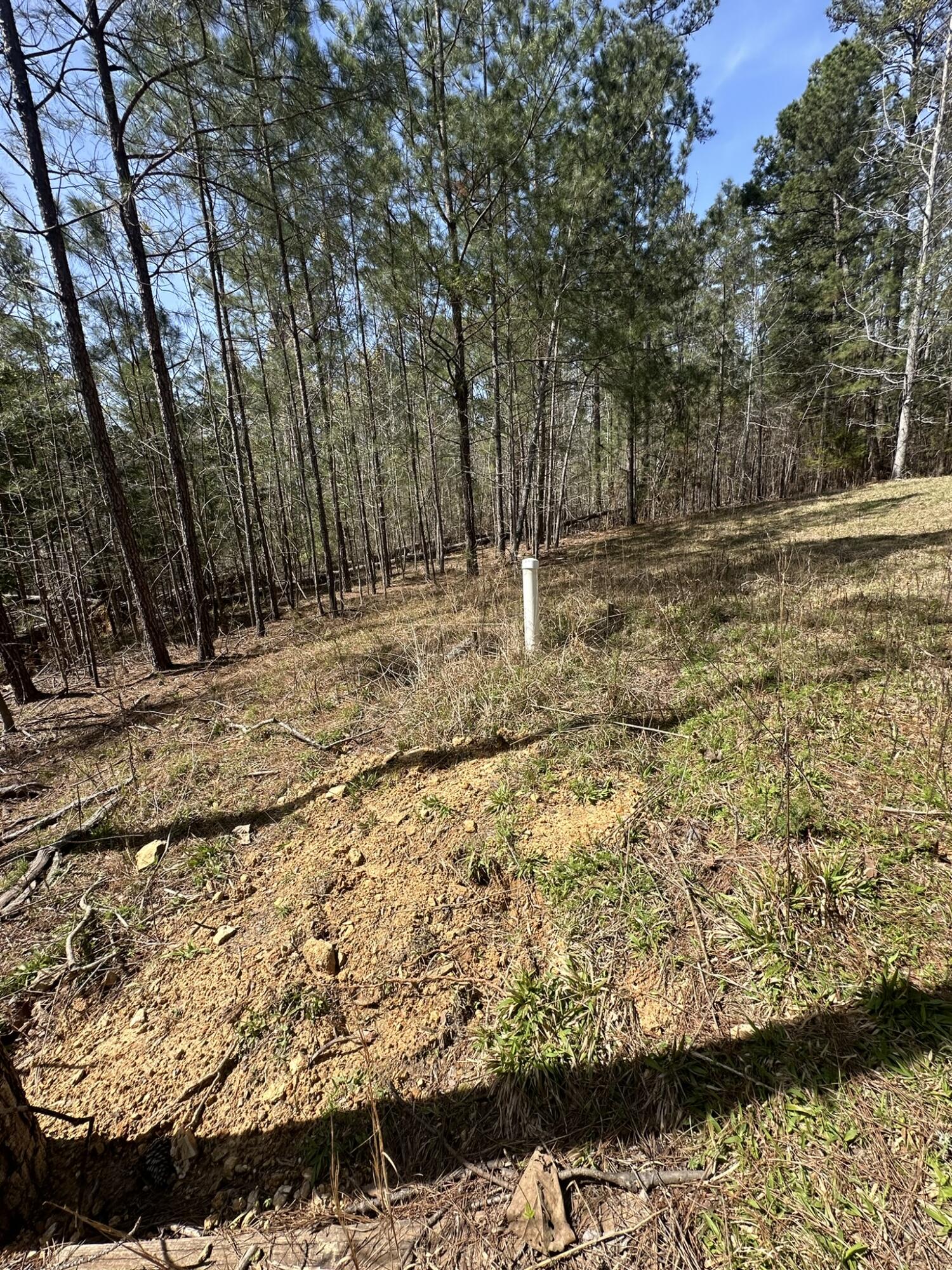 1035 103 Seminole Drive Property Photo 13