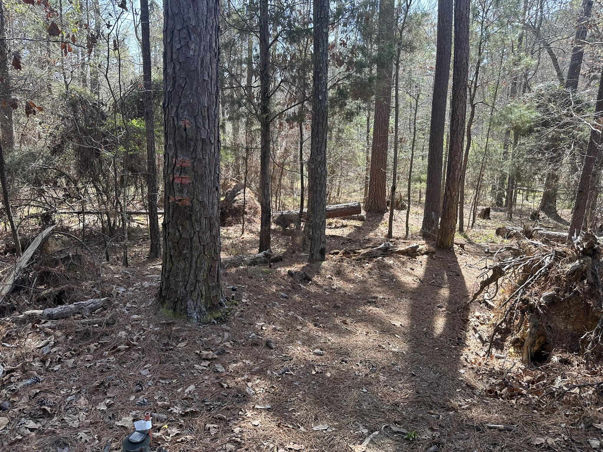 1035 103 Seminole Drive Property Photo 14