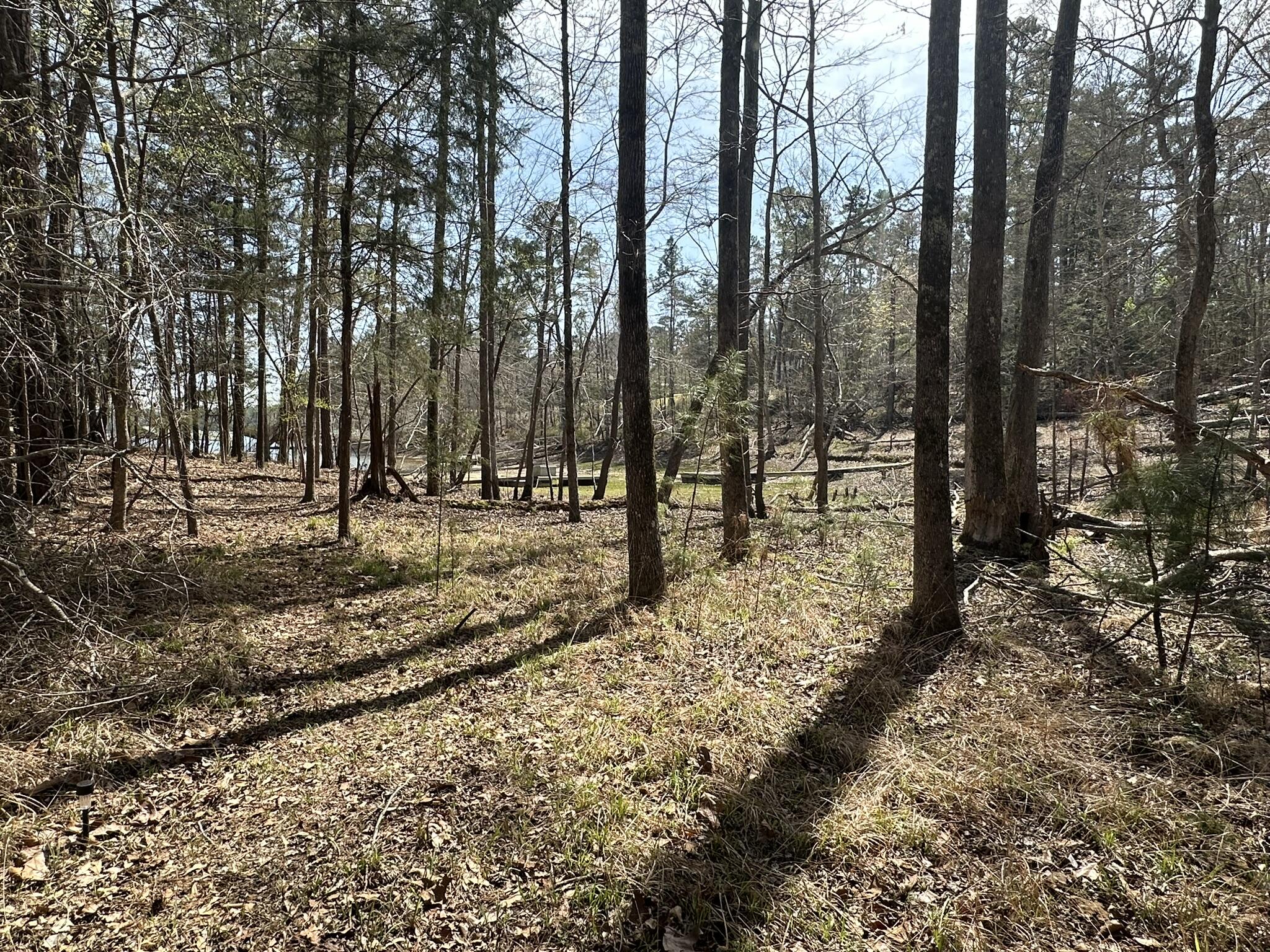 1035 103 Seminole Drive Property Photo 15