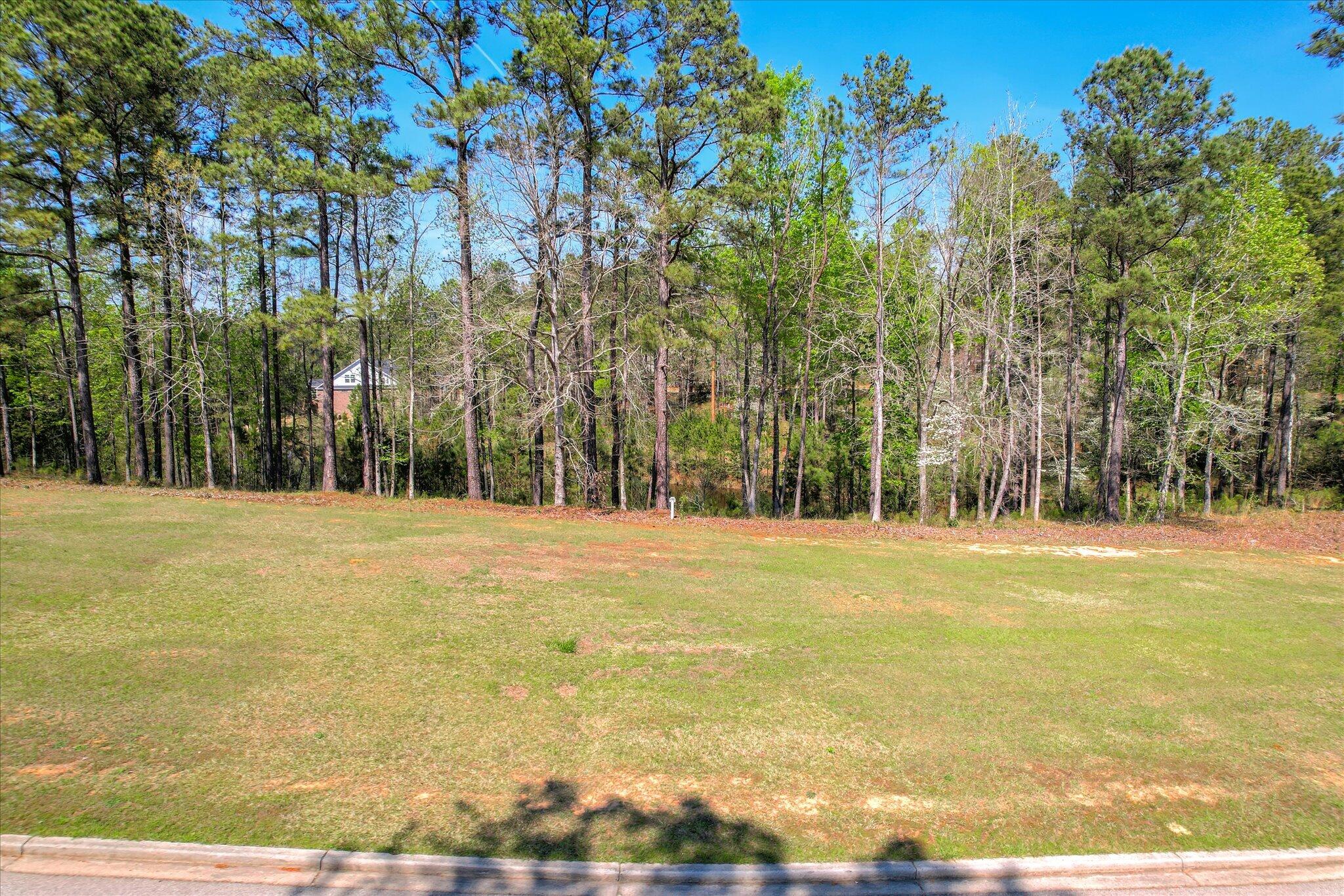 Lot N-031 N-031 Captain Johnsons Drive Property Photo 6